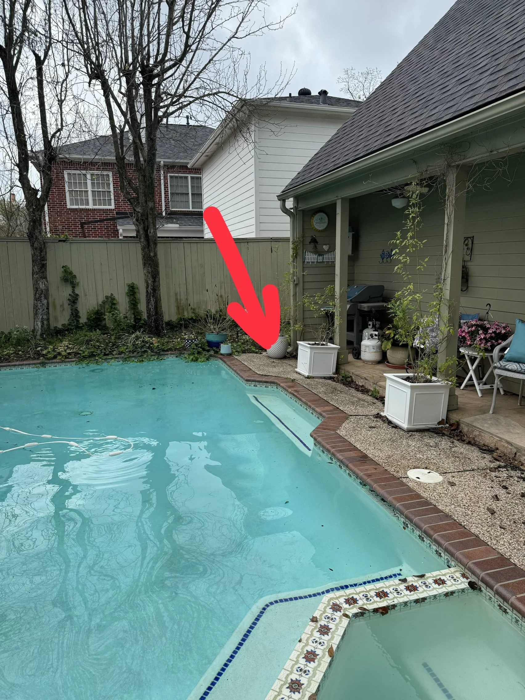 A backyard with a swimming pool, a beige fence, trees, and a house with two walls, one painted white and the other brick red. Potted plants and outdoor furniture are on the patio, and a gas grill is near the house.