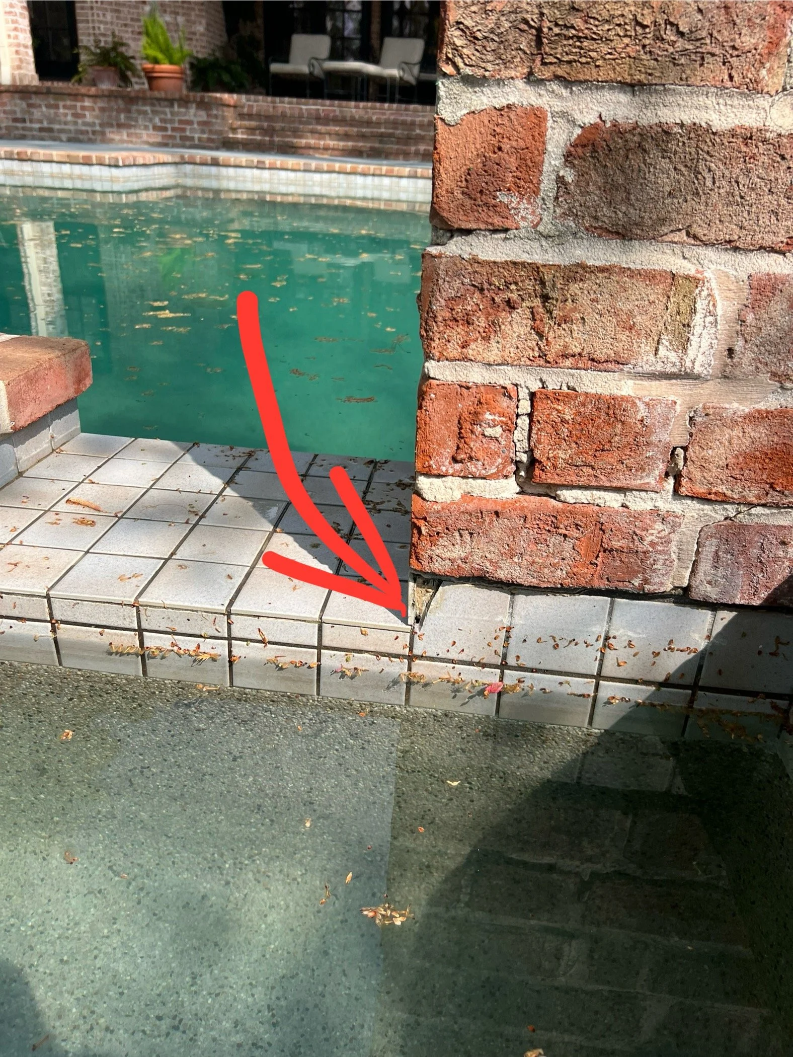 A swimming pool with a brick edge and potted plants on a brick patio, viewed through a glass window with a red arrow drawn on it.