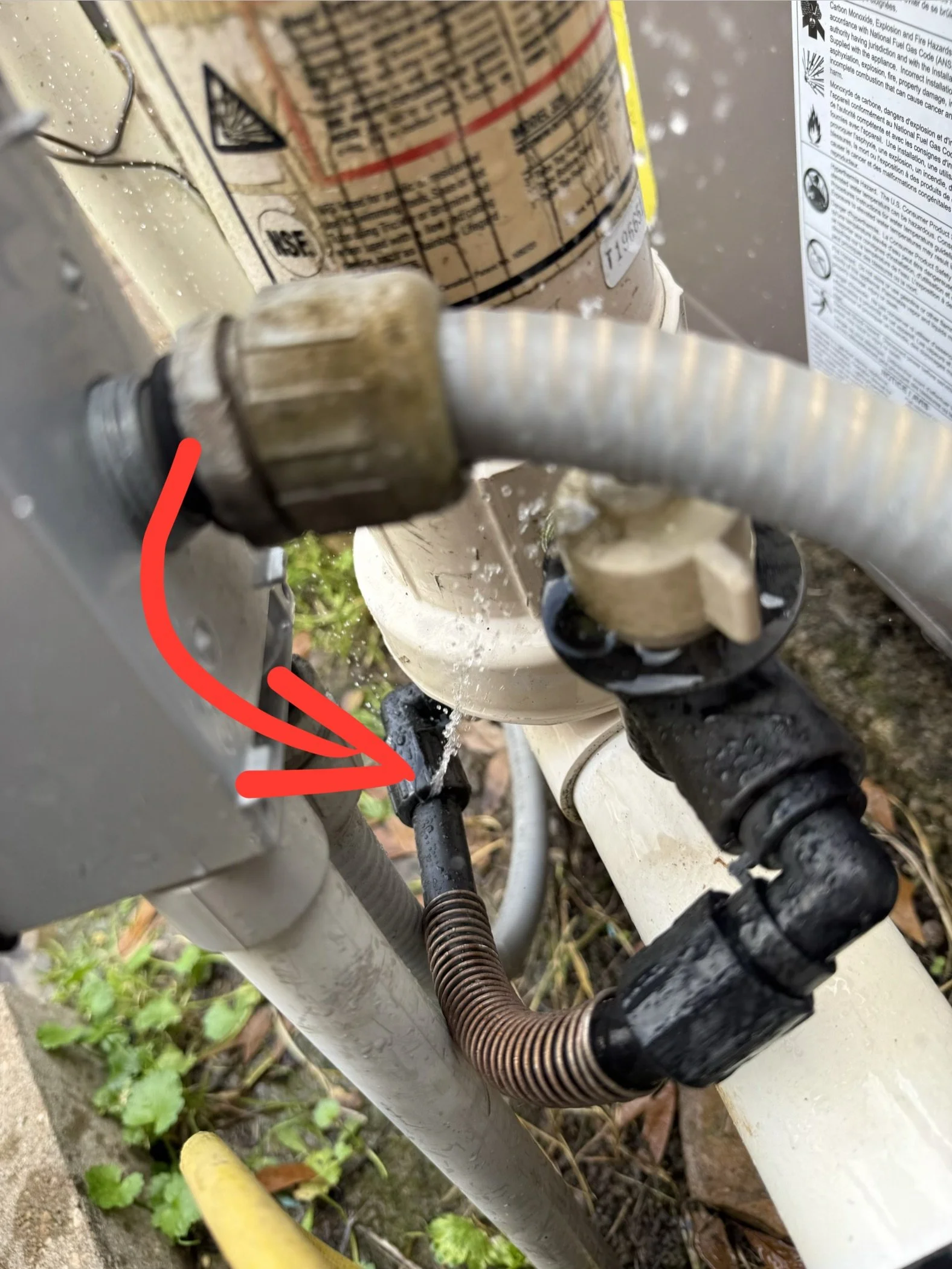 Close-up of a gas pipe connection with a flexible hose attached, situated on the frame of a motorcycle or bike, with a background of small green plants and leaves on the ground.