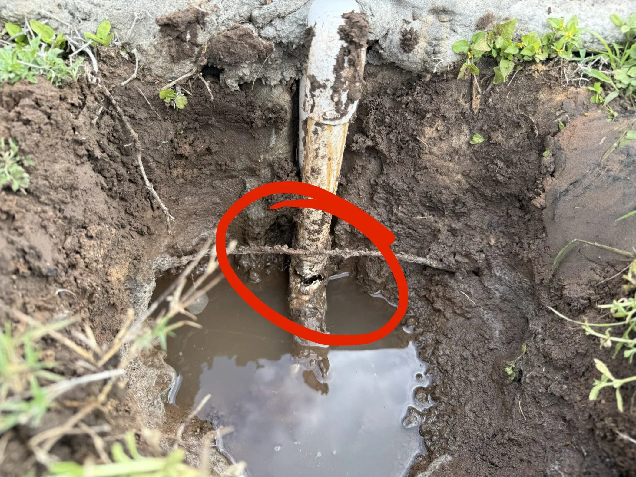A section of muddy soil showing a partially exposed metal pipe and a small hole with water around it, with greenery on either side.