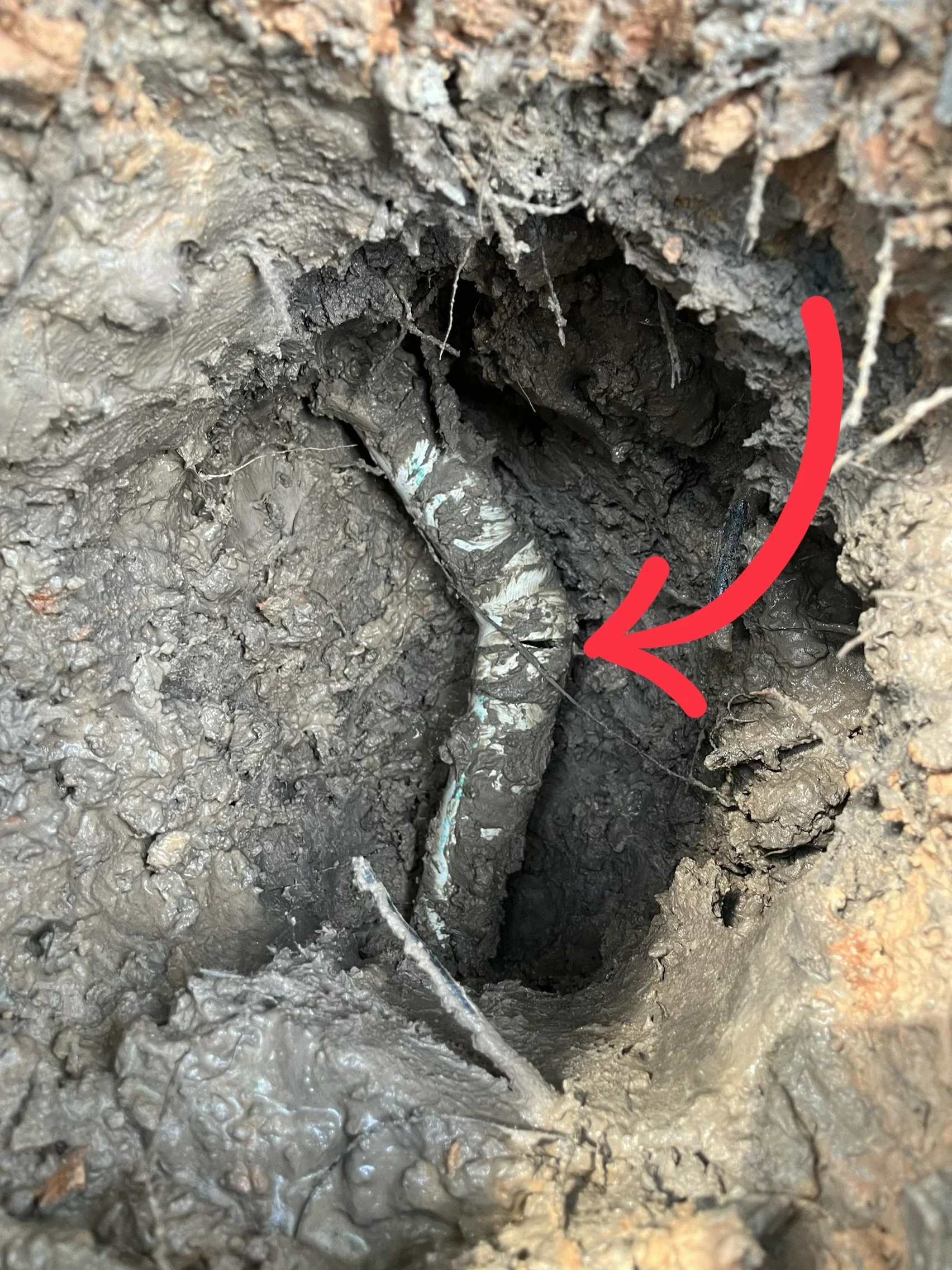 Close-up view of a muddy, muddy hole with a few small roots and grime.
