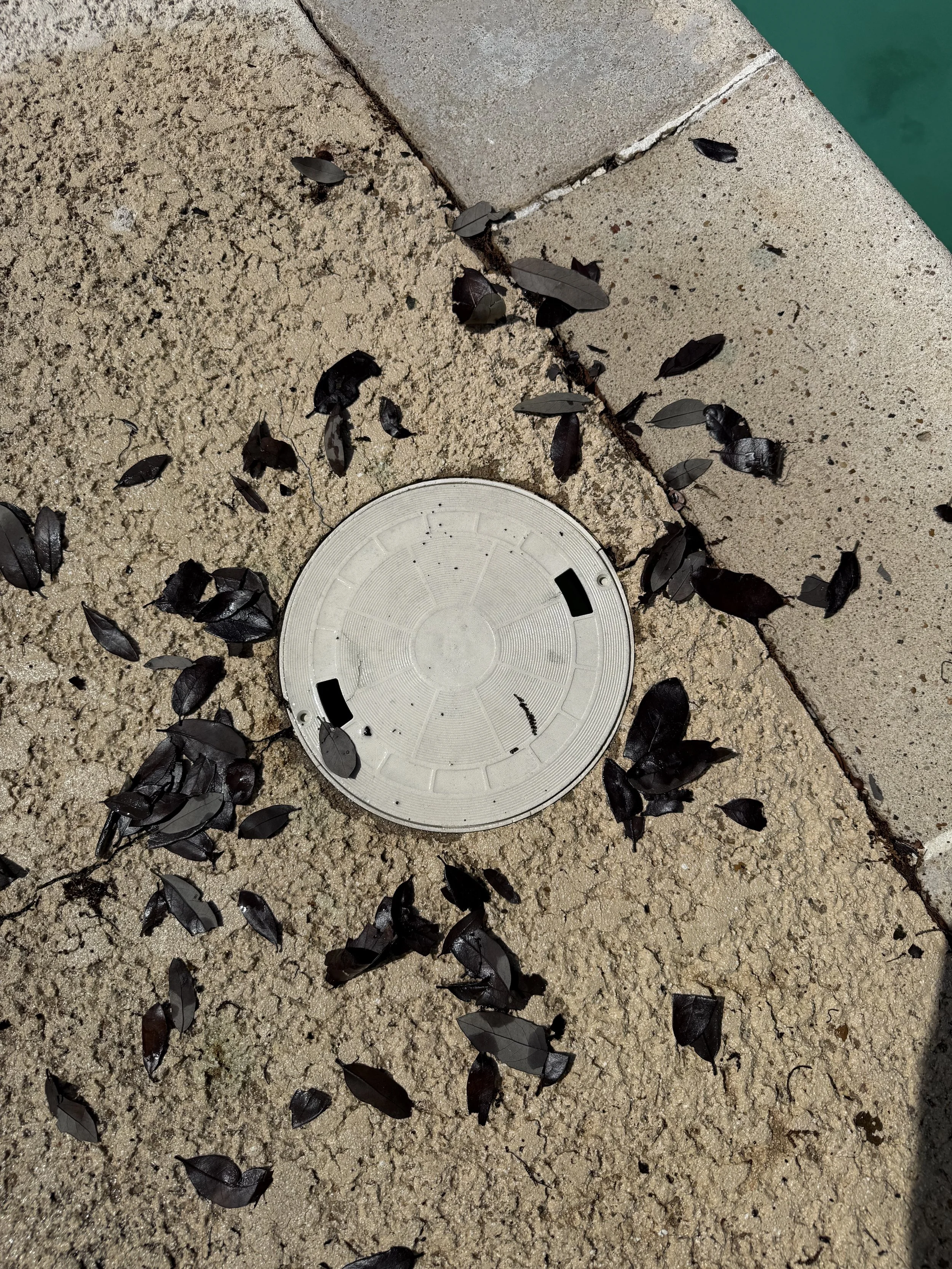 Outdoor scene with scattered dark leaves on cracked beige pavement near a white circular drain cover and a concrete curb with teal-colored water in the background.