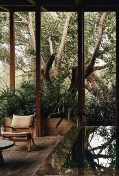 View of a lush green forest outside large glass windows from inside a wooden cabin, with a chair and table in the foreground.