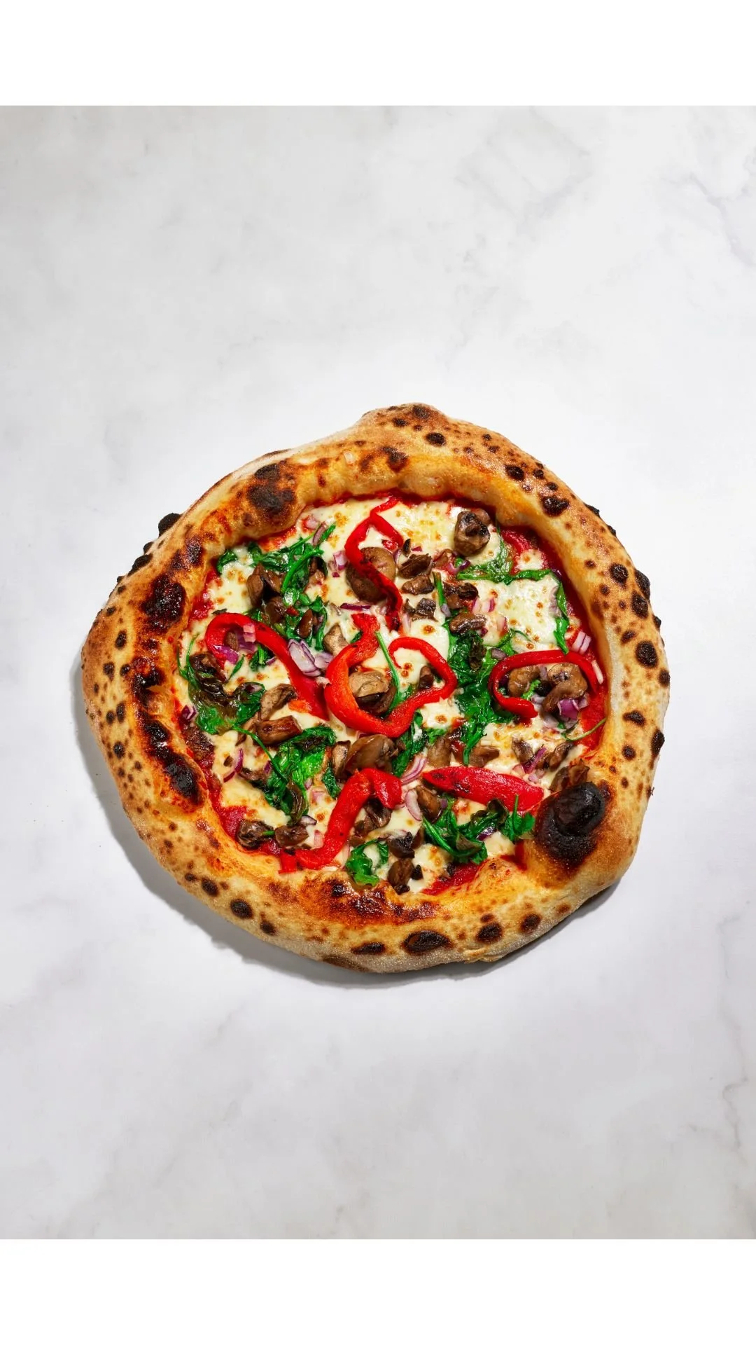 Close-up of a pizza with red bell peppers, green herbs, mushrooms, and cheese on a white surface.