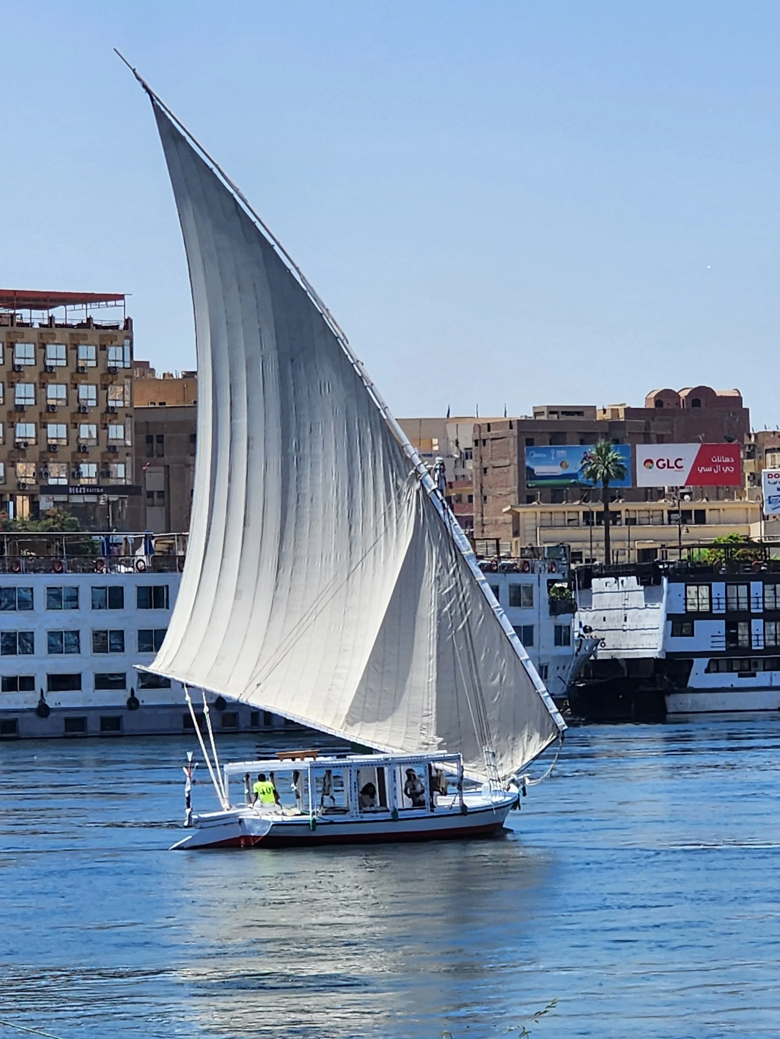A sailing boat with a large white sail on a river, with a cityscape in the background including buildings and billboards.