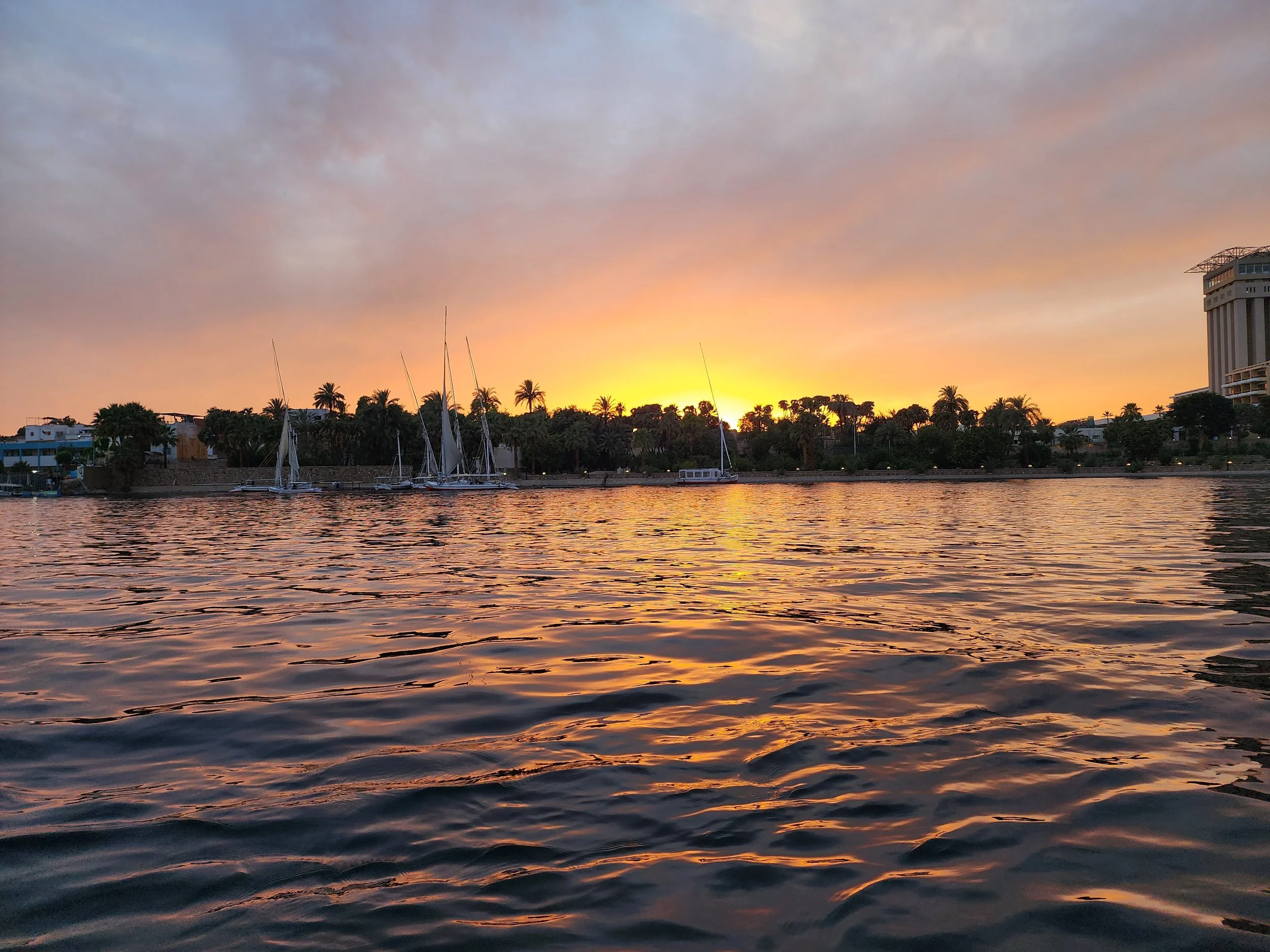 Sunset over a river with sailboats docked along the shoreline and a modern building on the right side, with palm trees and a cloudy sky.