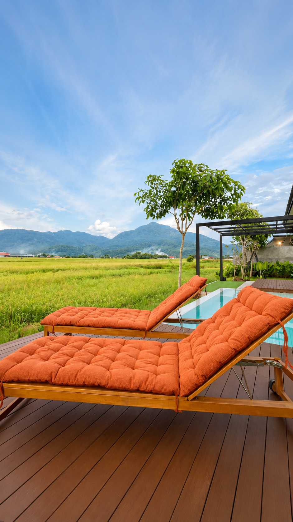 Rice Field Views - Panoramic views of Mahsuri mountain range and rice field