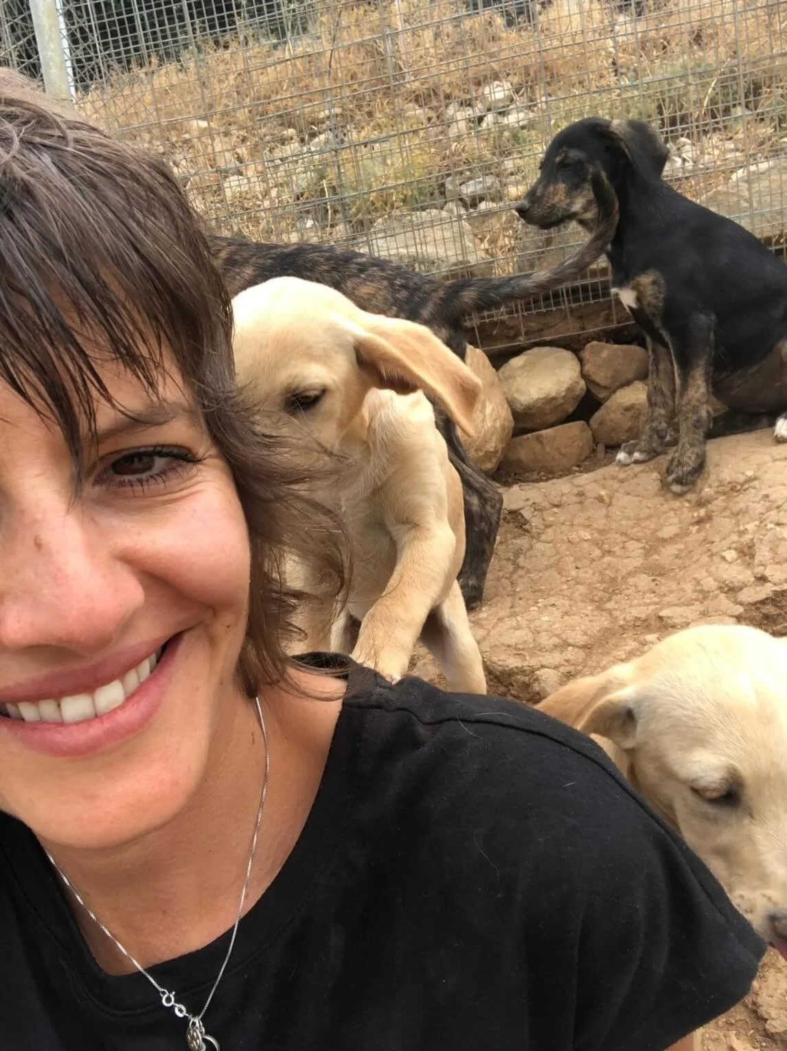 Junge Frau im schwarzen T-Shirt mit mehreren Hunden in einem Gehege auf Steinen und Erde, umgeben von einer Metallzäunung.