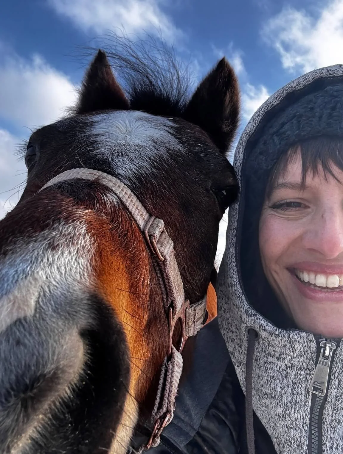 Ein lachender Mann trägt einen Helm und macht ein Selfie mit einem schwarzen Pferd, das sehr nah an seinem Gesicht ist. Der Himmel ist blau mit Wolken.