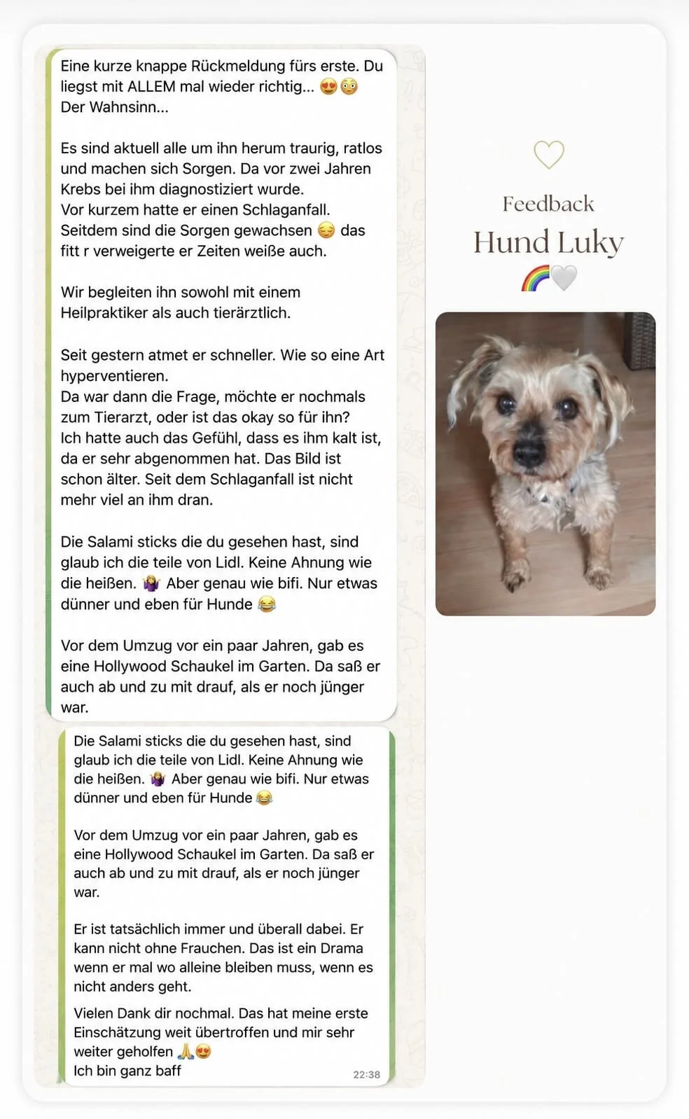 WhatsApp-Nachricht mit einem Text über einen Hund namens Luky, seiner Krankheitsgeschichte und Bildern, darunter ein Foto eines kleinen, braunen Hundes mit schwarzen Augen auf einem Holzboden.