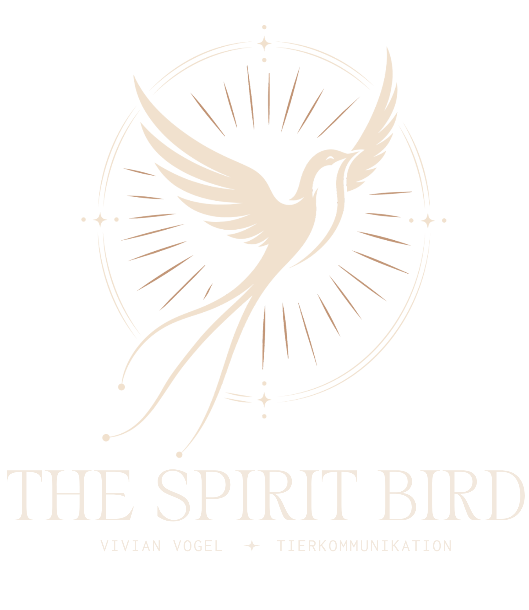 Logo The  Spirit Bird - stilisierter weisser Vogel mit Sternen und Strahlen, Vivian Vogel Tierkommunikation