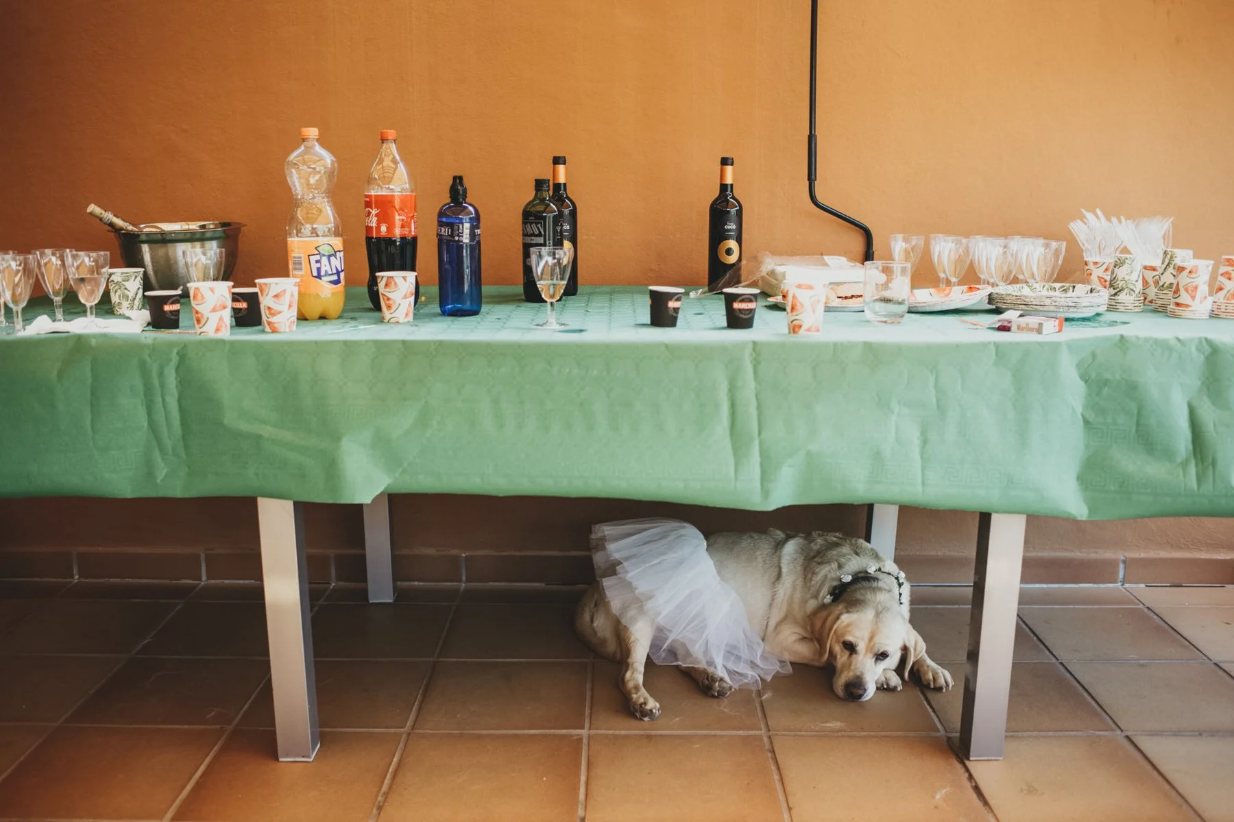 Pablo-Ricciardulli-fotografia-de-bodas-11.jpg