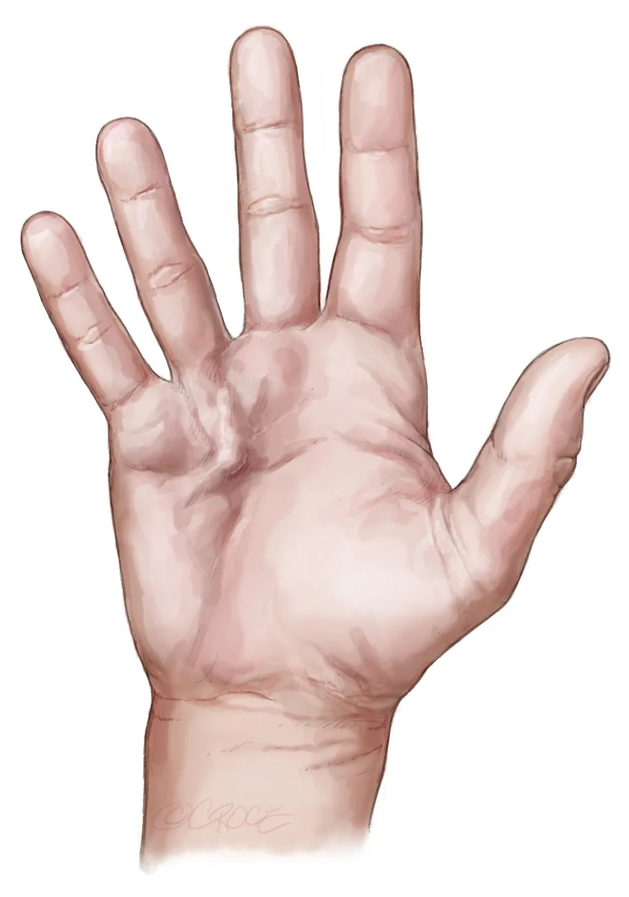CEV_fig02.jpg