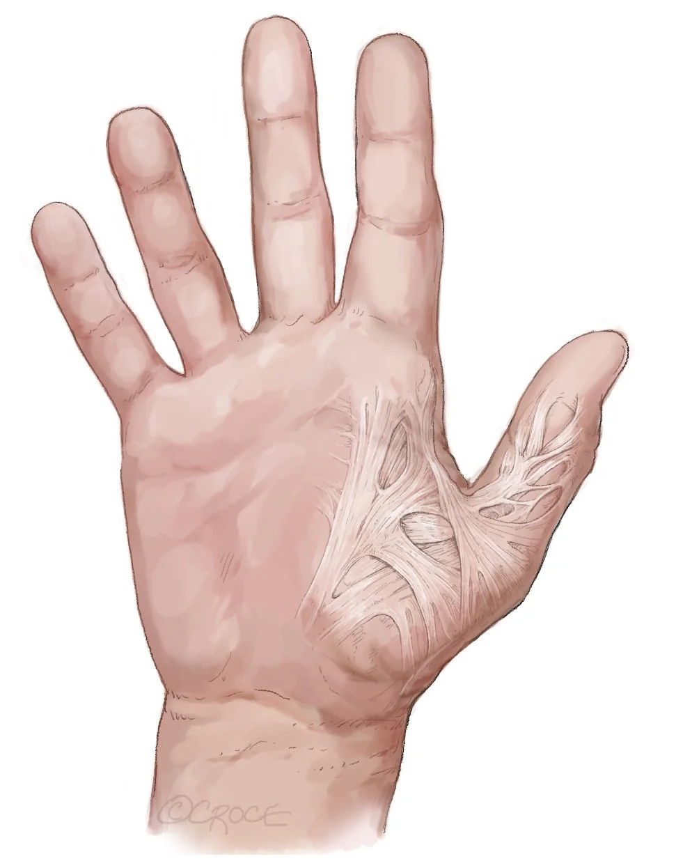 CEV_fig05.jpg