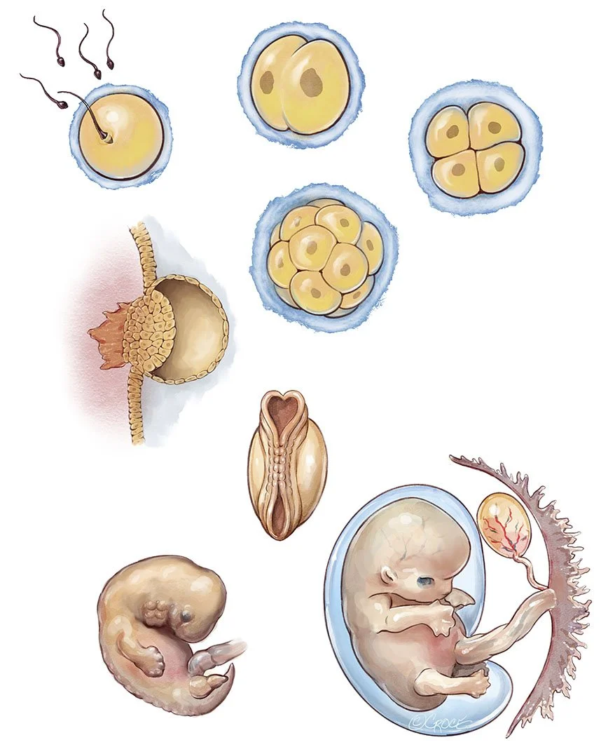 Antenatal01.jpg