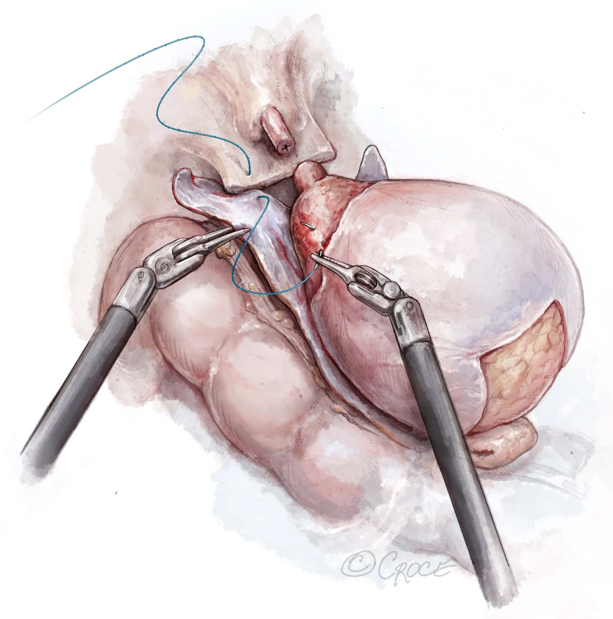 LES0709fig03.jpg