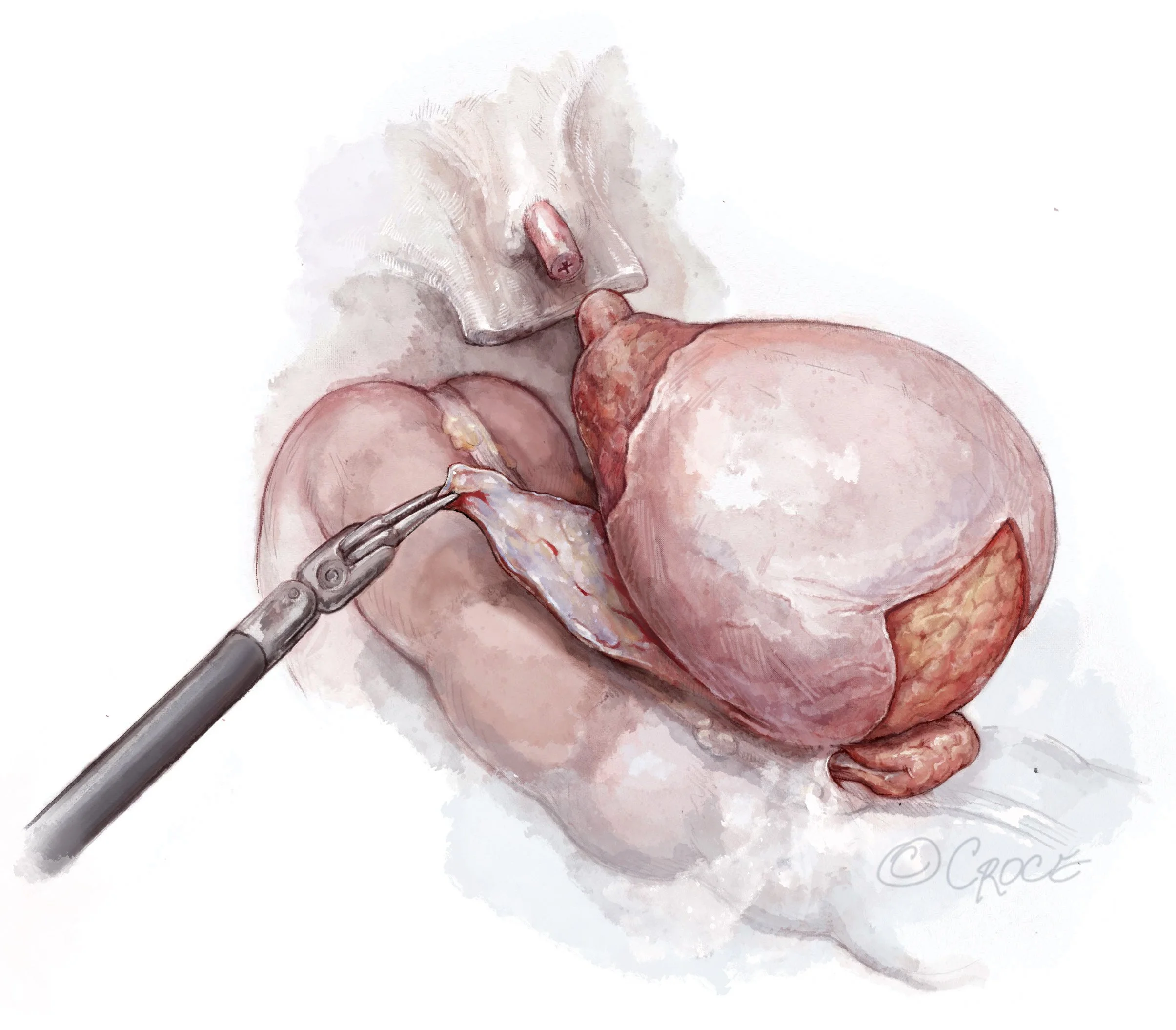 LES0709fig02.jpg