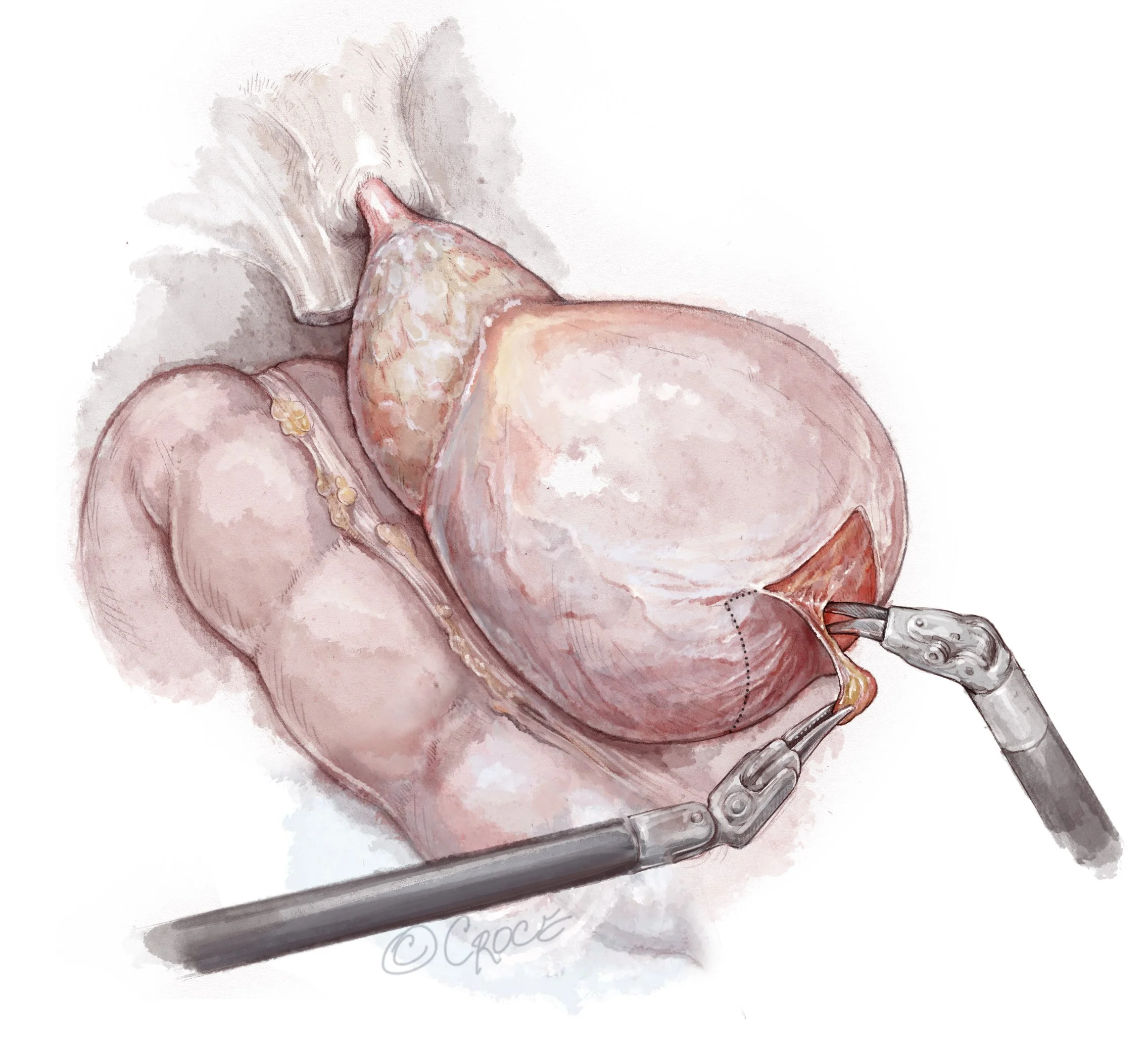 LES0709fig01.jpg
