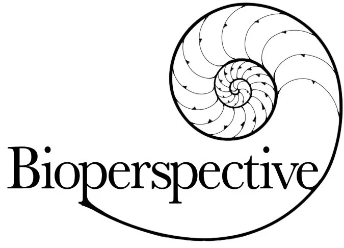 Bioperspective Medical Illustration