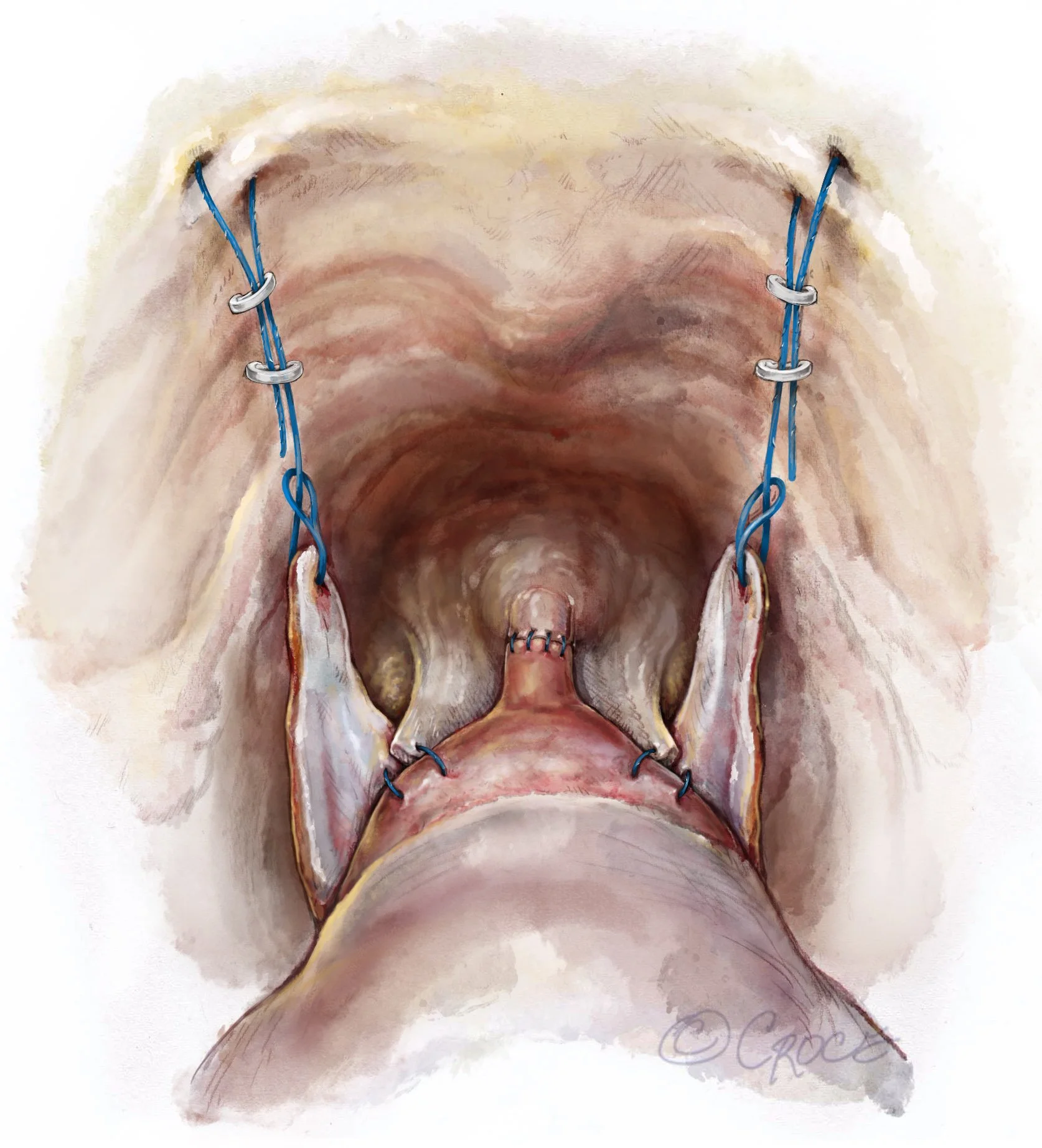 LES0709fig05.jpg