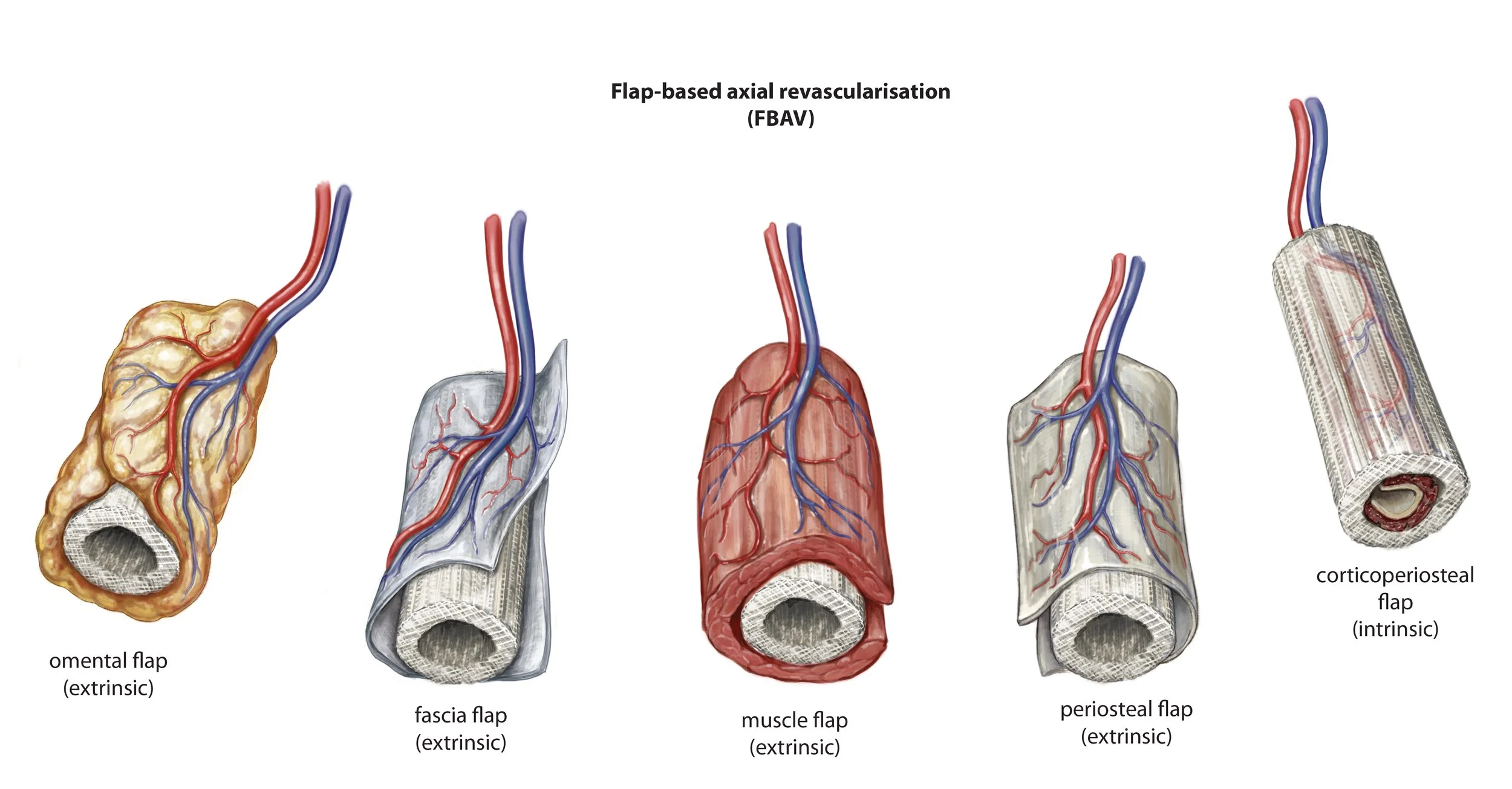 1512fig3.jpg