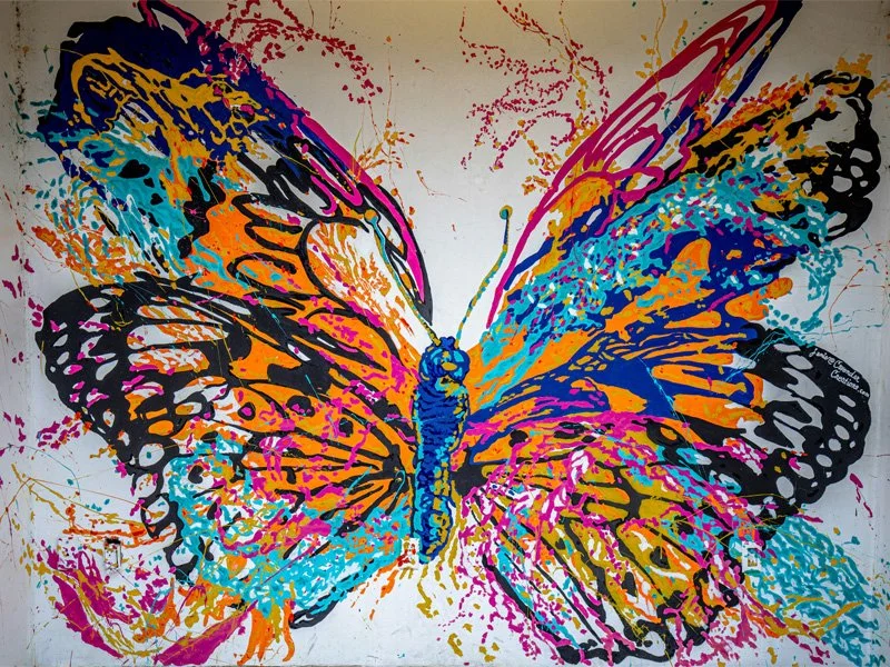Remembering: Stories of Transformation