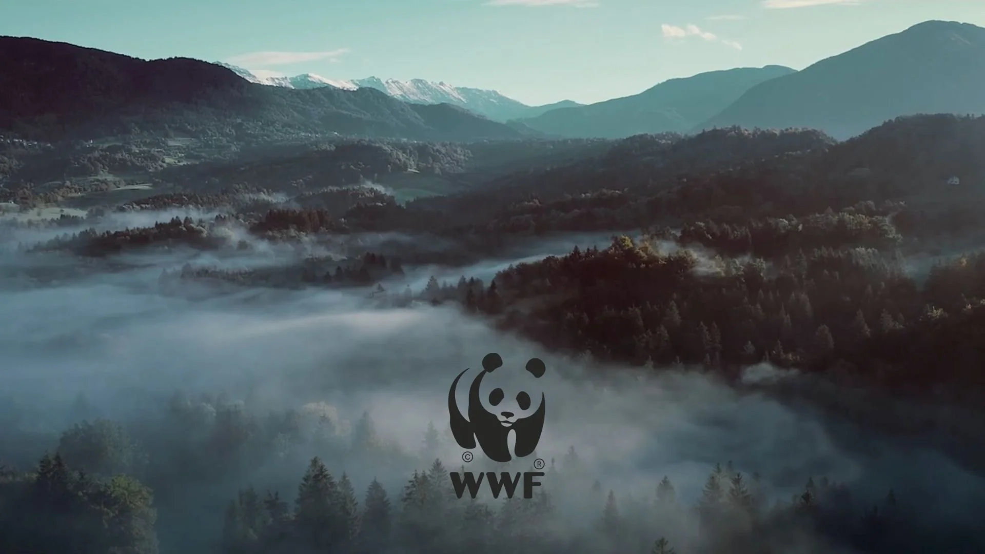 A landscape of mountains covered with forests and fog, with snow-capped peaks in the background. There is a WWF panda logo at the bottom center of the image.