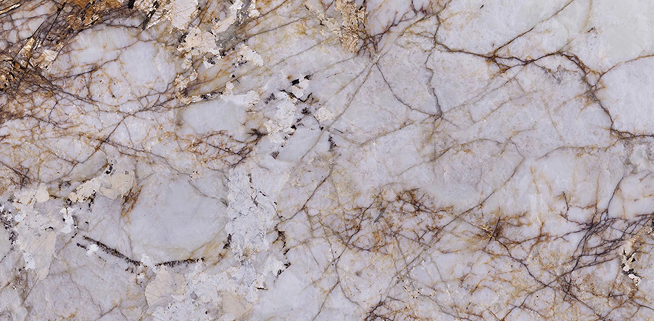 FGEQ93_Golden Phoenix.jpg