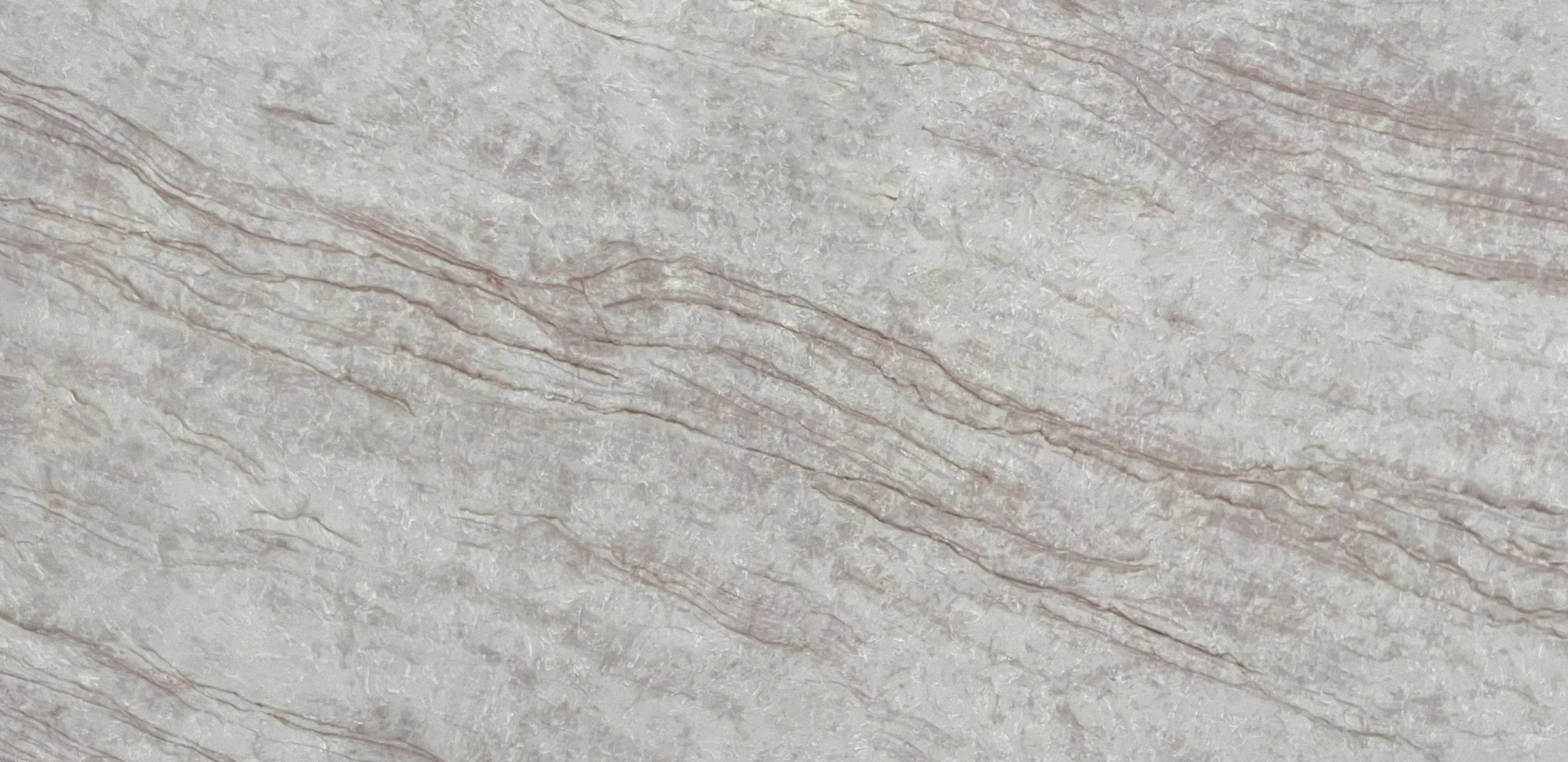 Close-up of a textured, light-colored stone surface with visible veins and lines.