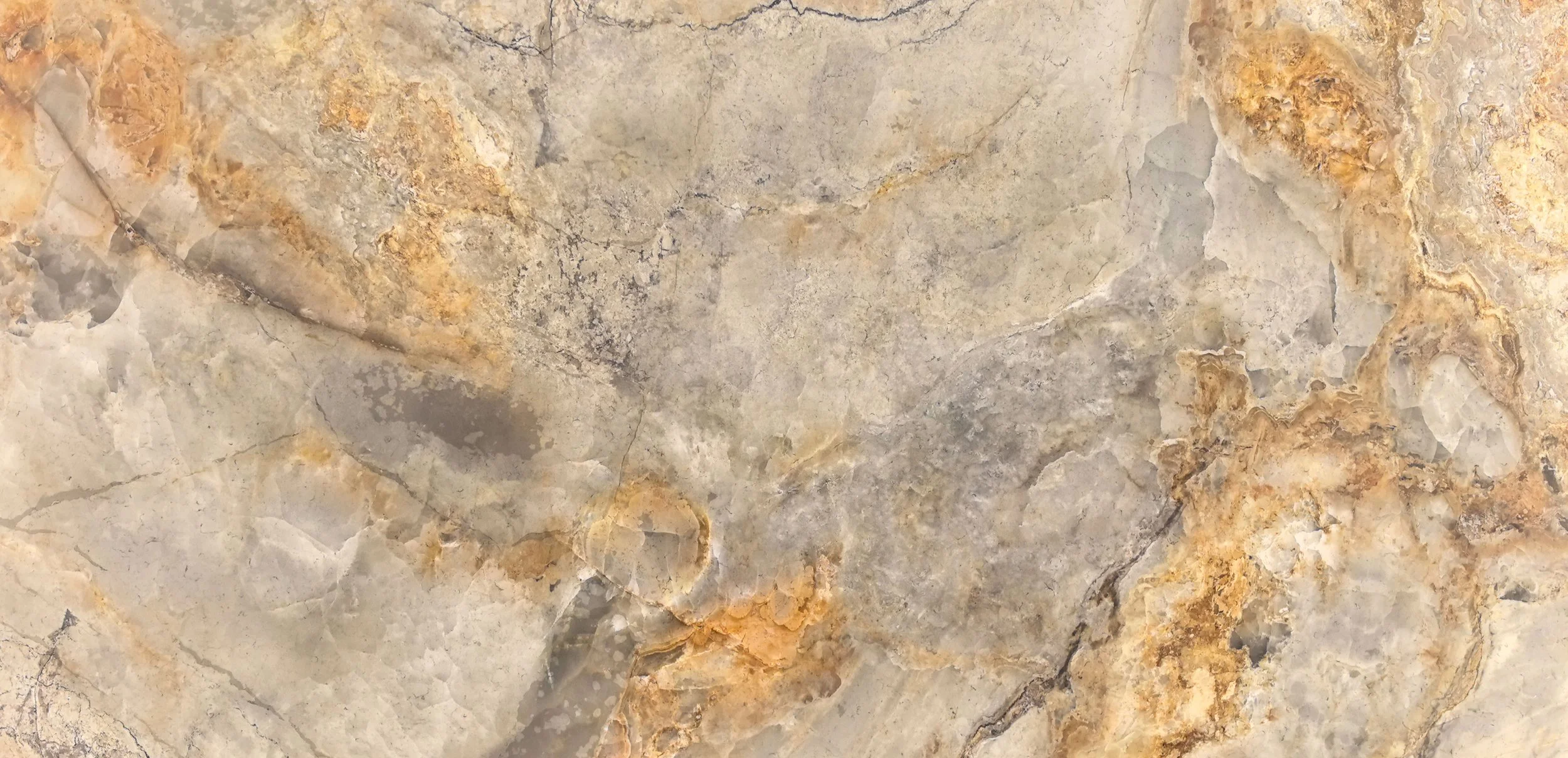 Close-up image of a natural stone surface with various shades of gray, beige, and brown, and distinctive veining and texture.
