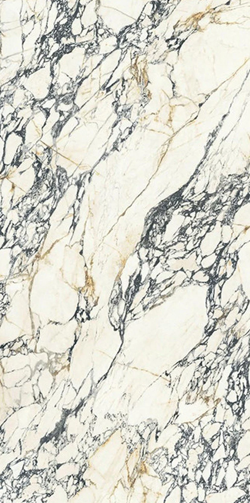 Belgian Calacatta Lace