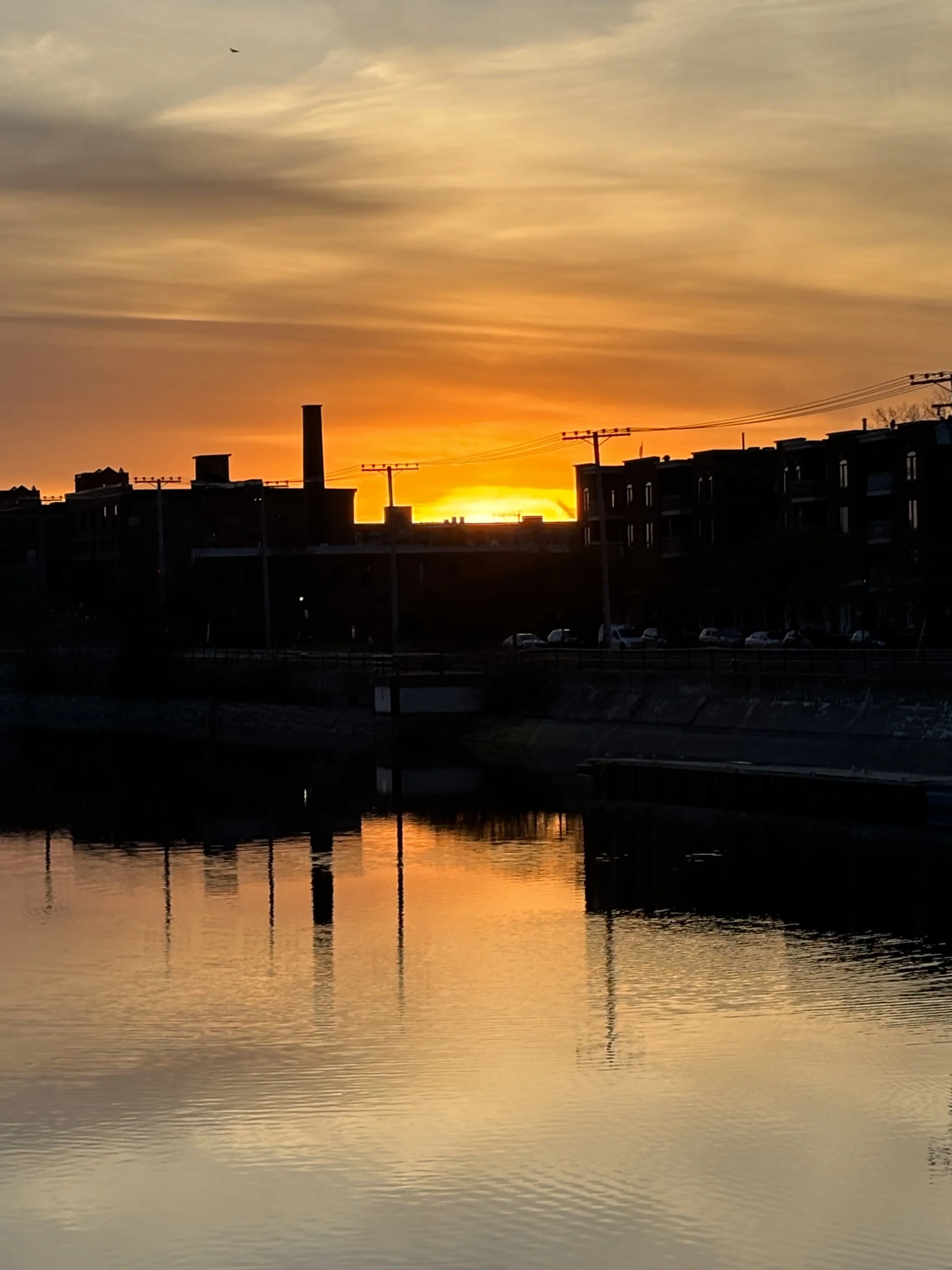 Sunset over buildings and water with reflections, power lines, and a bird in the sky.