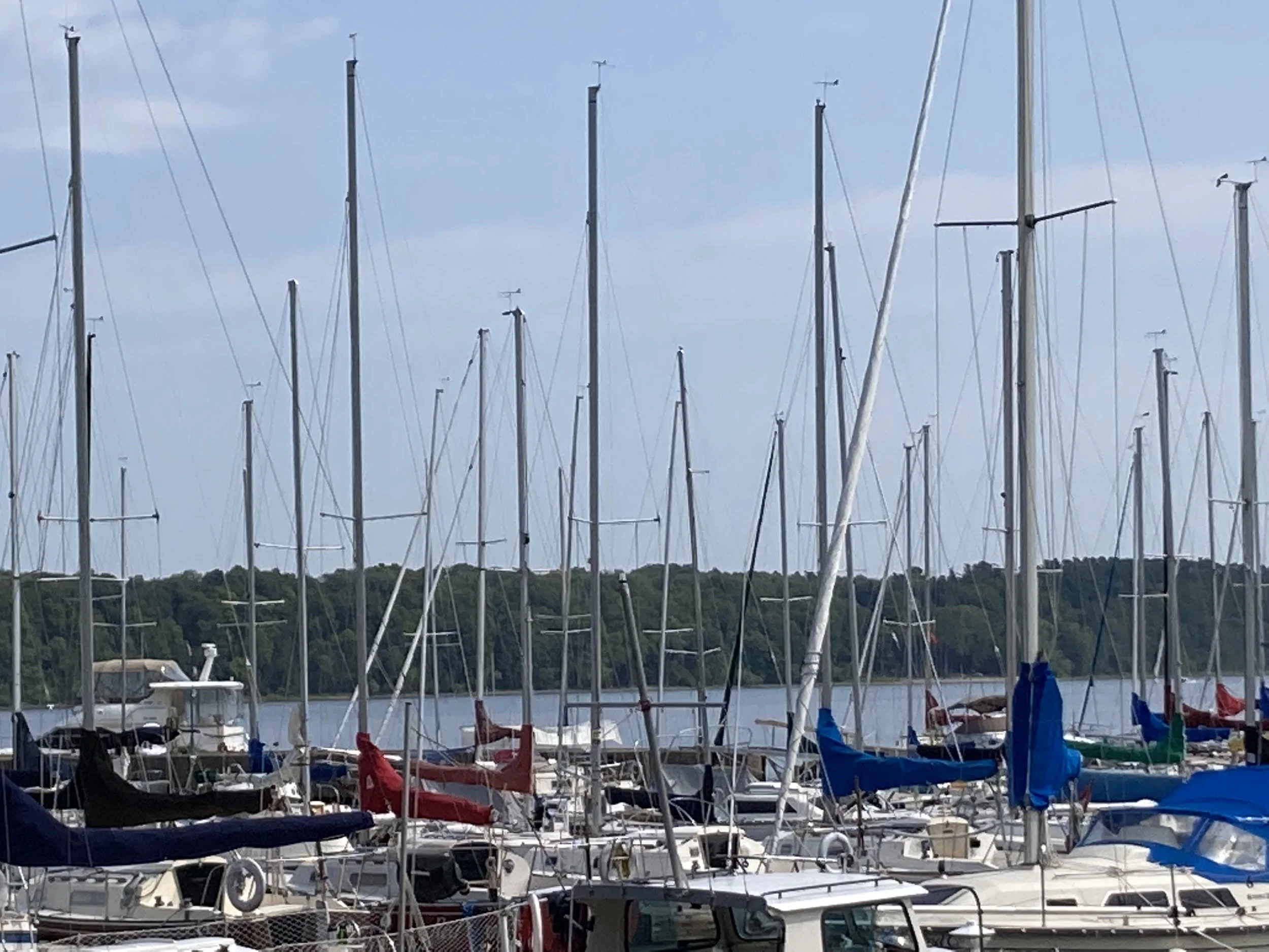 A marina filled with sailboats, with their masts reaching into a cloudy sky and a distant treeline across the water.