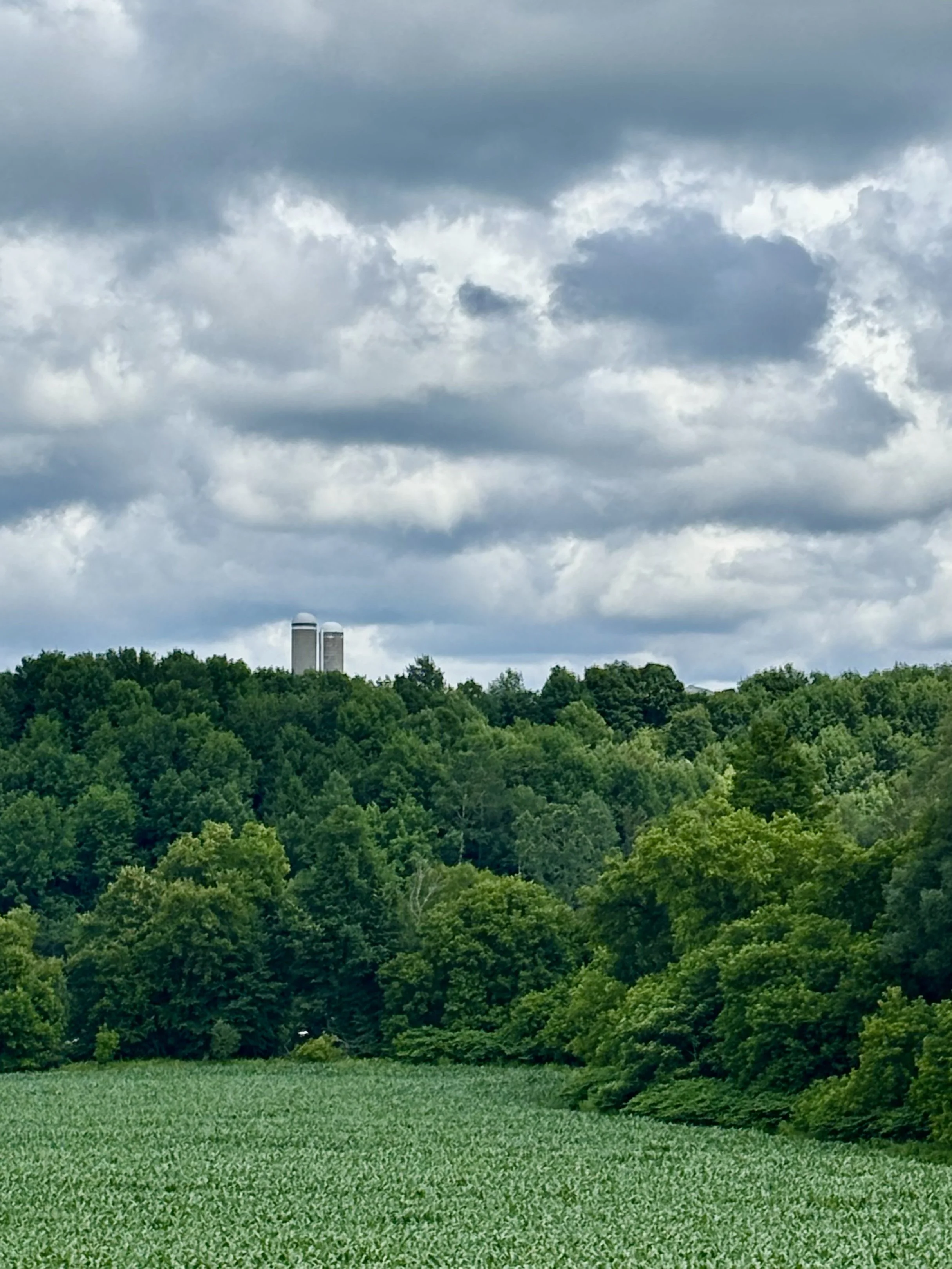 A lush green field with dense trees and a cloudy sky in the background, and two silos visible on a hilltop.