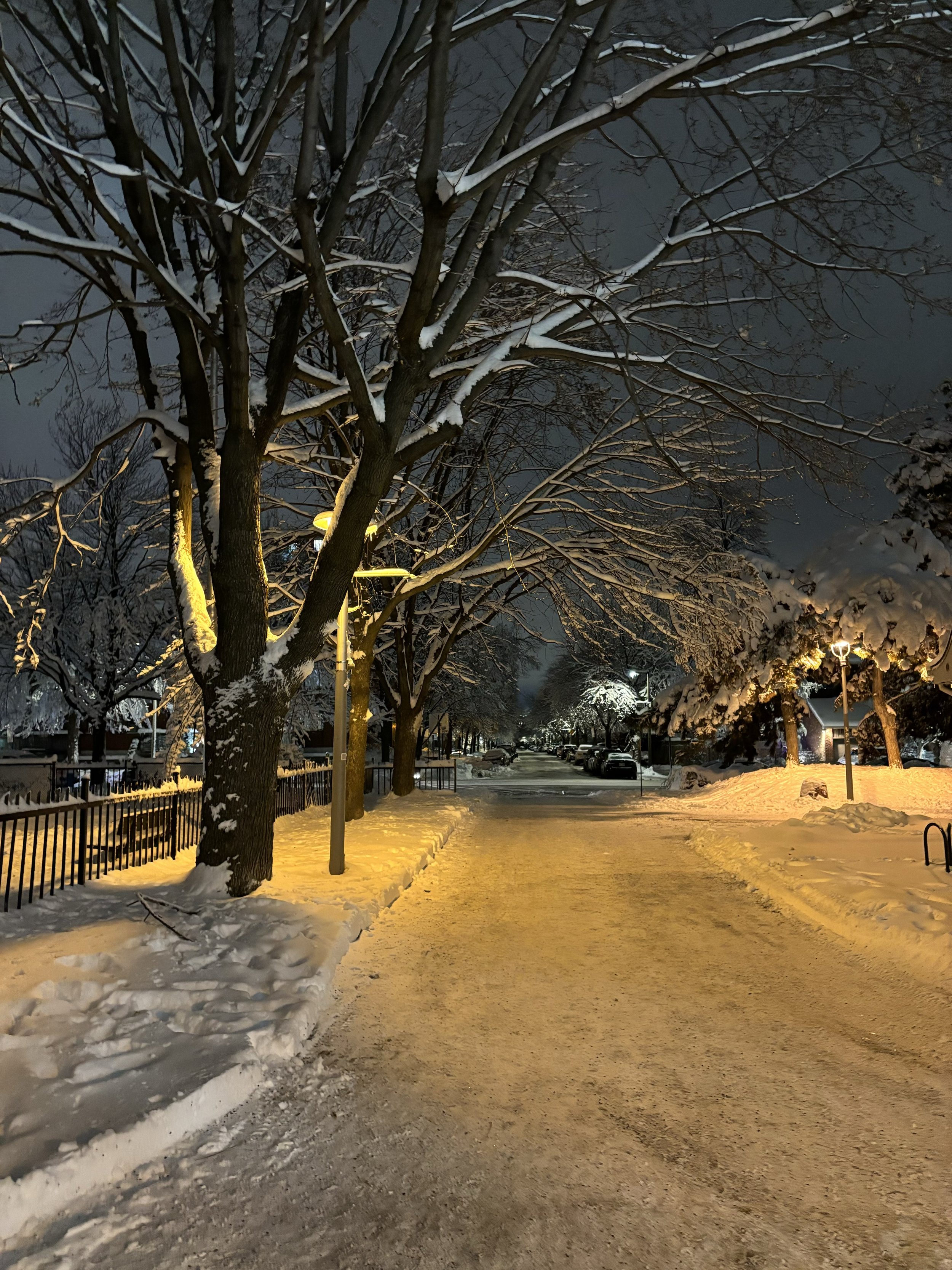 Snow-covered sidewalk lined with trees, street lamps, and parked cars at night, illuminated by streetlights.