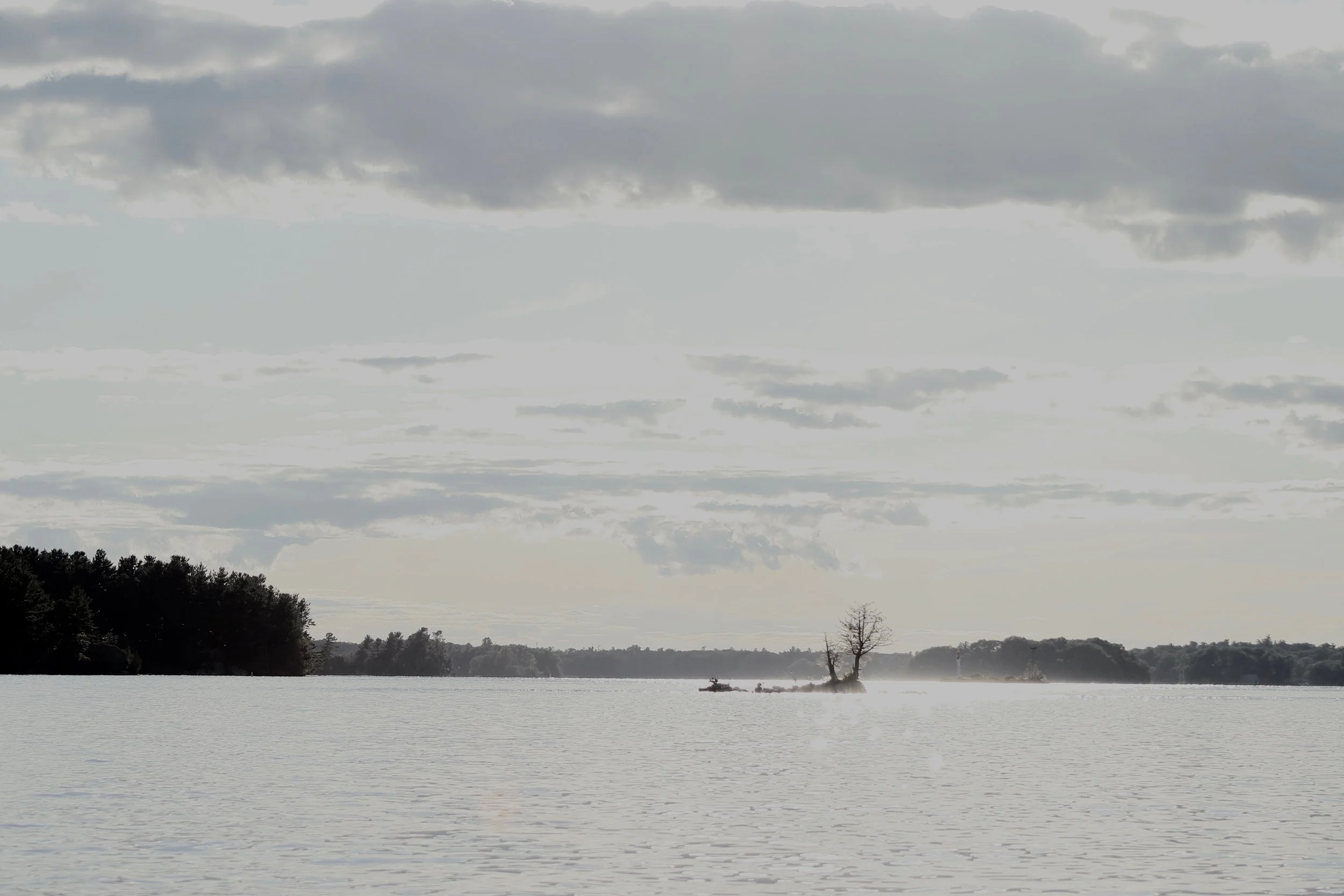A large lake with a small boat and a single leafless tree on a tiny island, under a cloudy sky.