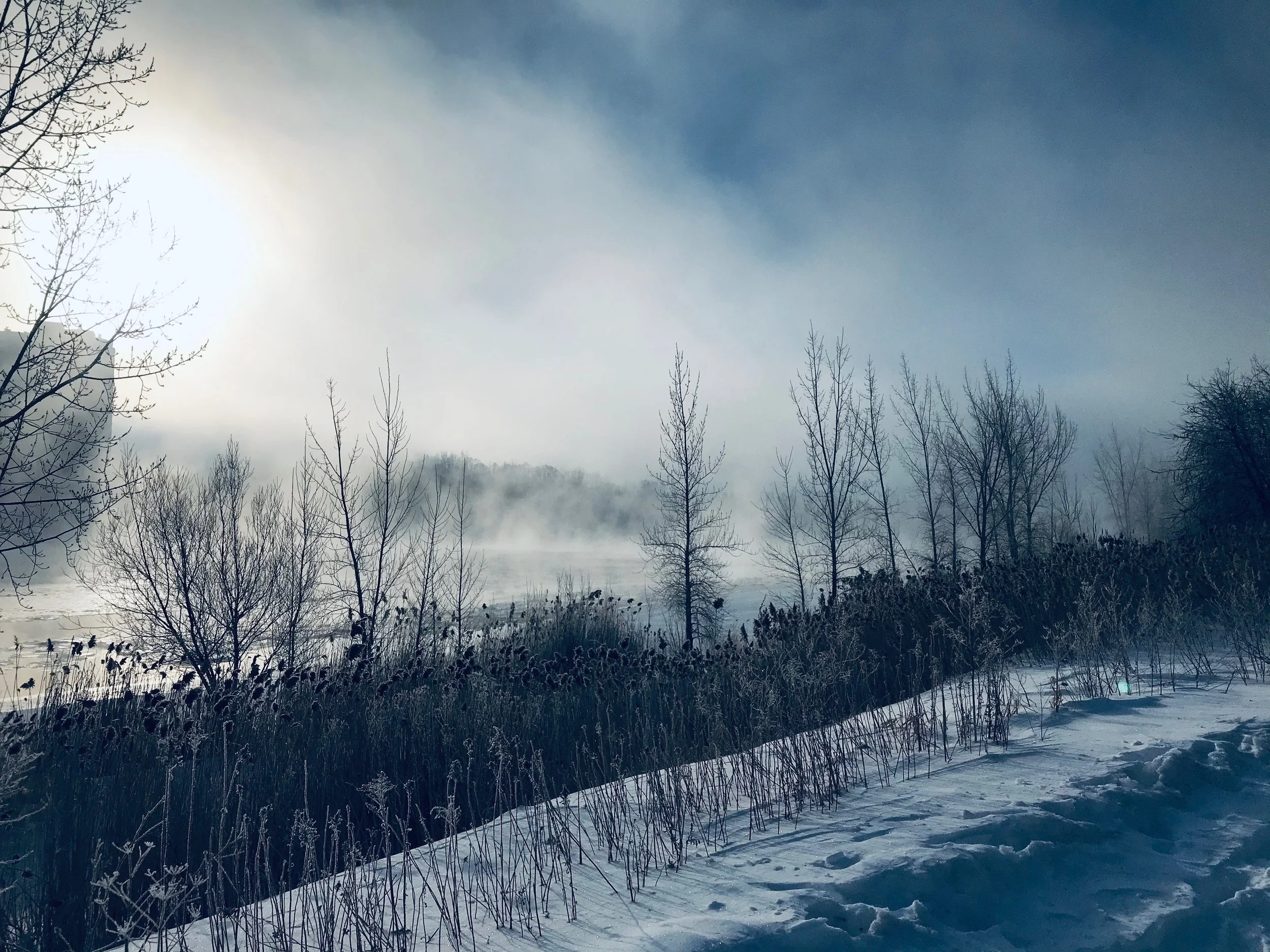 A winter landscape with snow-covered ground, leafless trees, and fog in the distance, with cloudy sky.