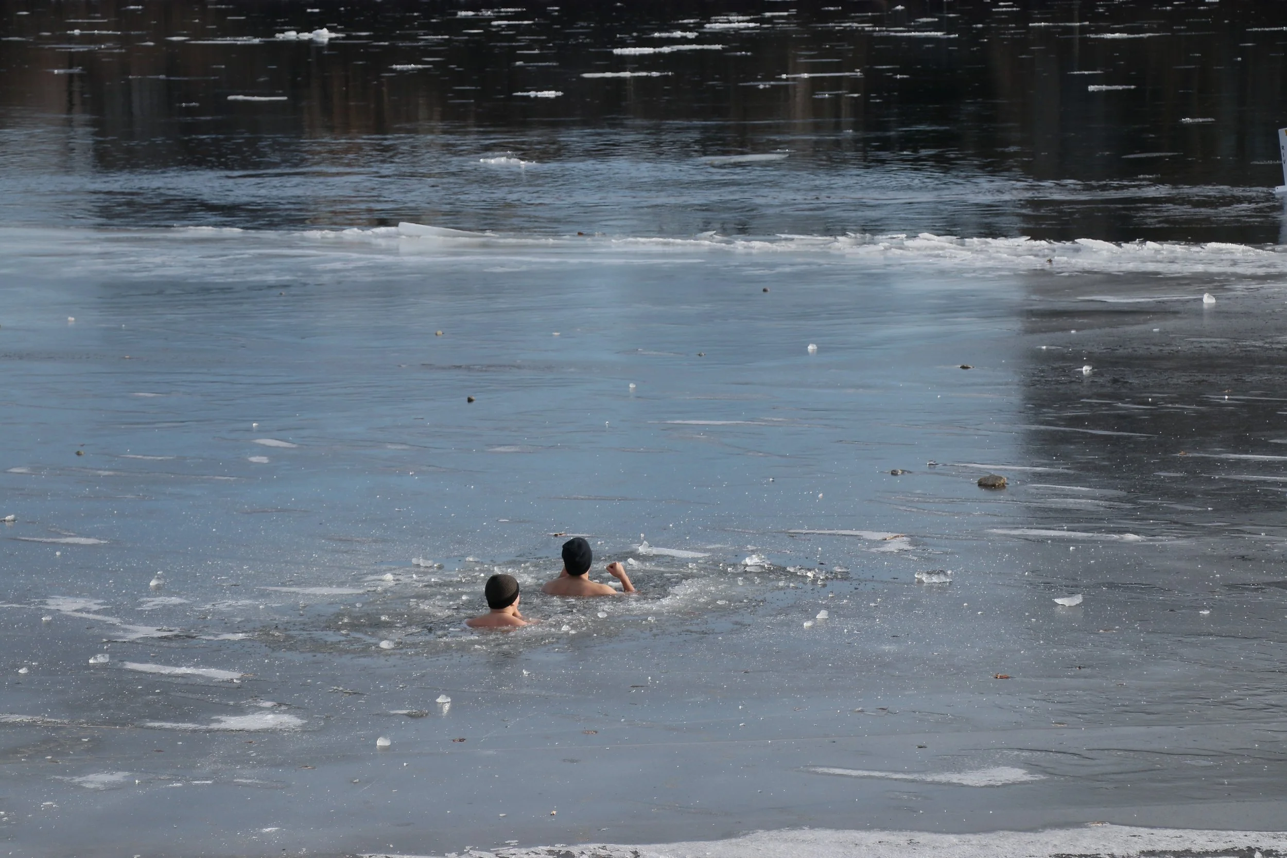 Two people swimming in a partially frozen body of water on a cold day.