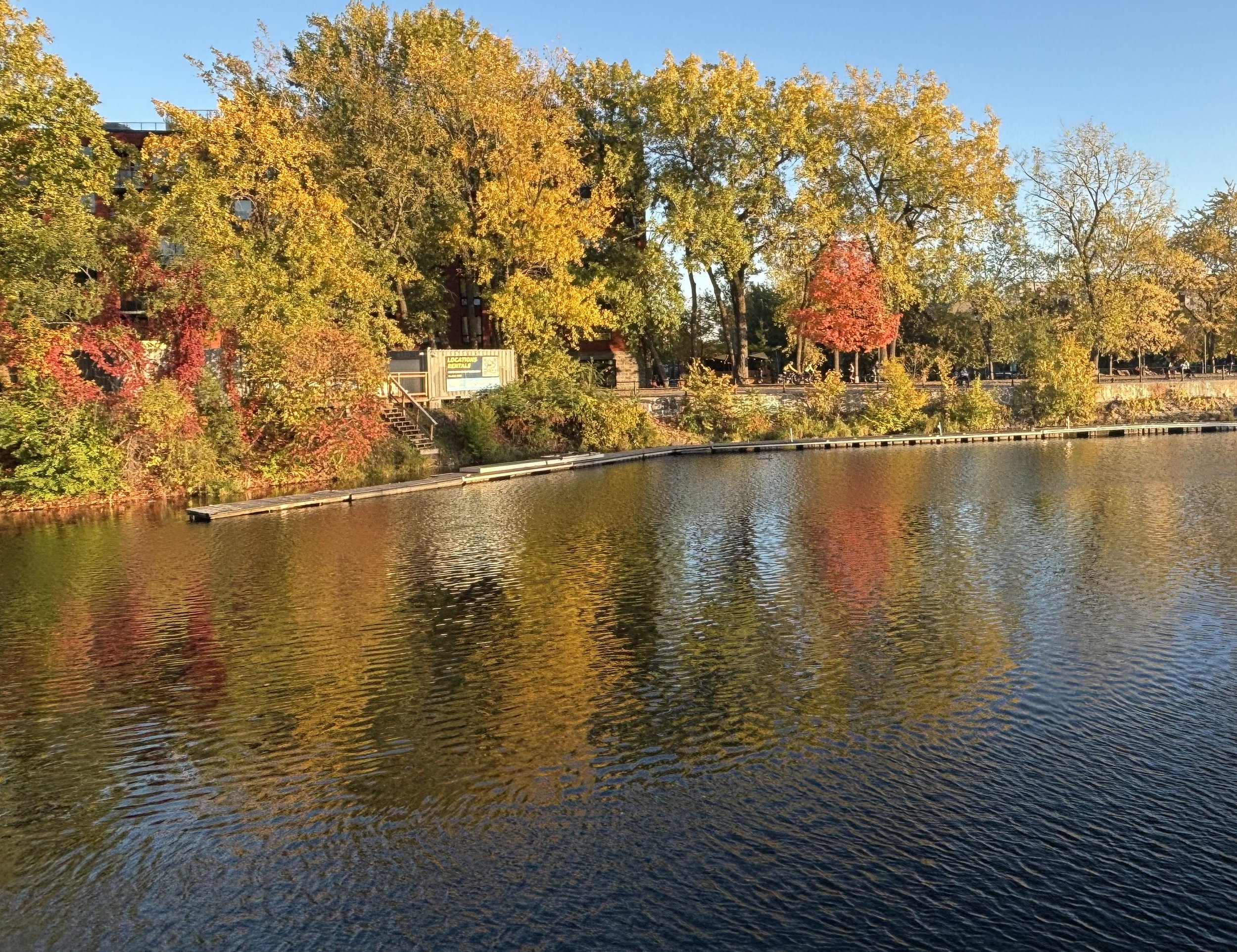 Autumn trees reflecting in a river under a clear blue sky.