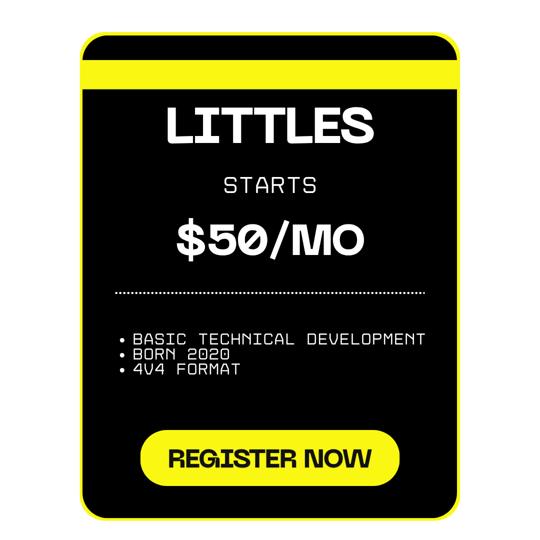 Digital advertisement for a tech development course called "Littles" starting at $50 per month, with details about the course content and registration button.
