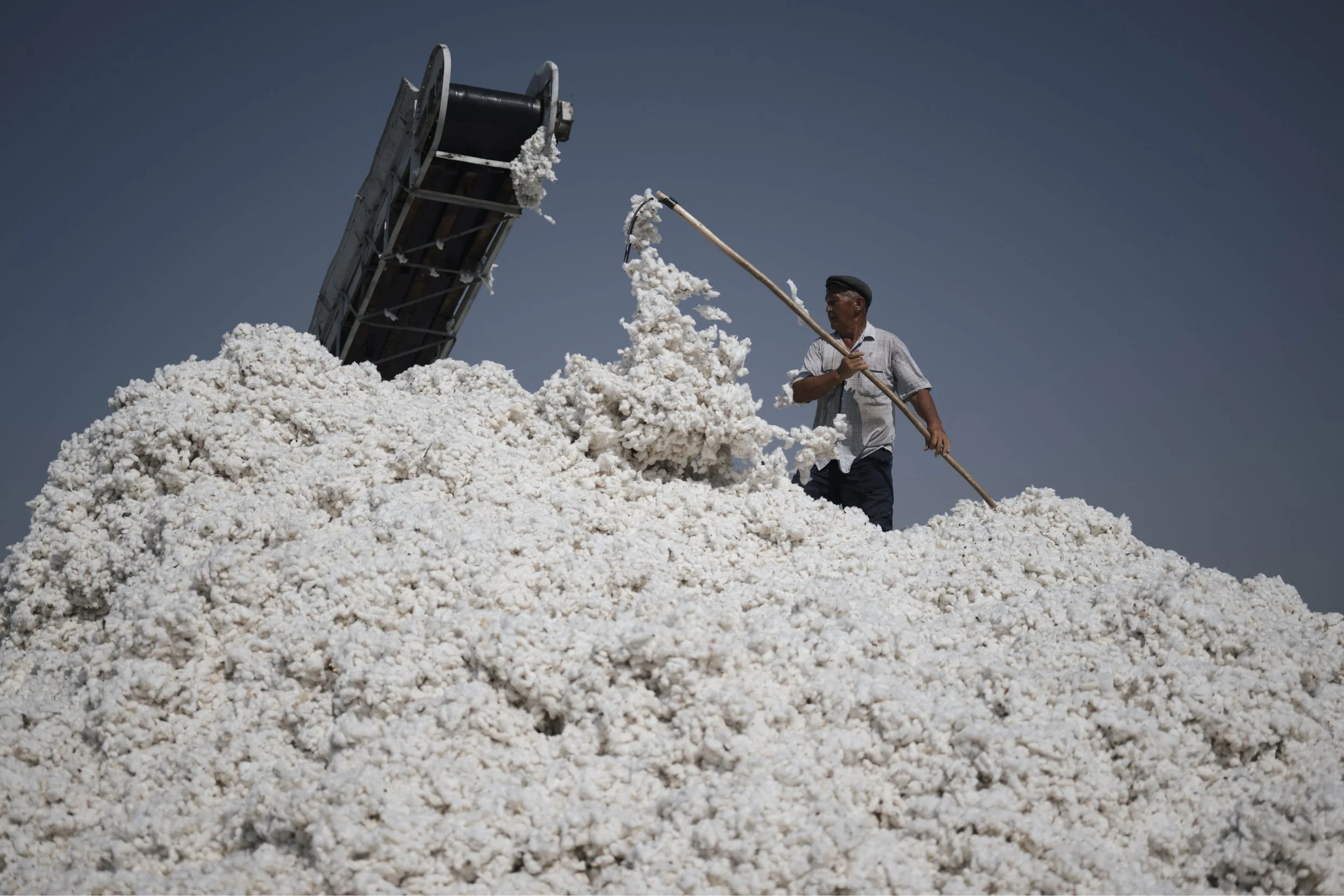 COTTON
