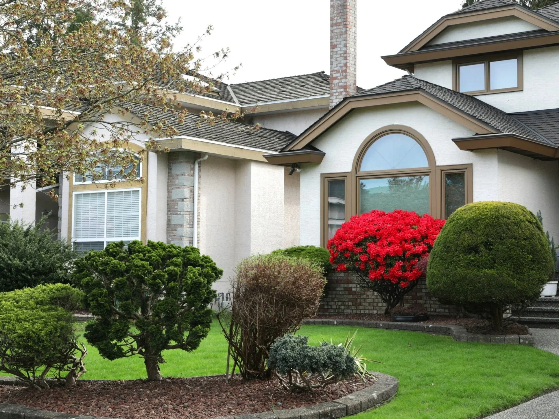 A well-maintained suburban front yard with a lush green lawn, a variety of neatly trimmed bushes, a blooming red hydrangea, and a large house in the background with a brick chimney, multiple windows, and a sloped roof.