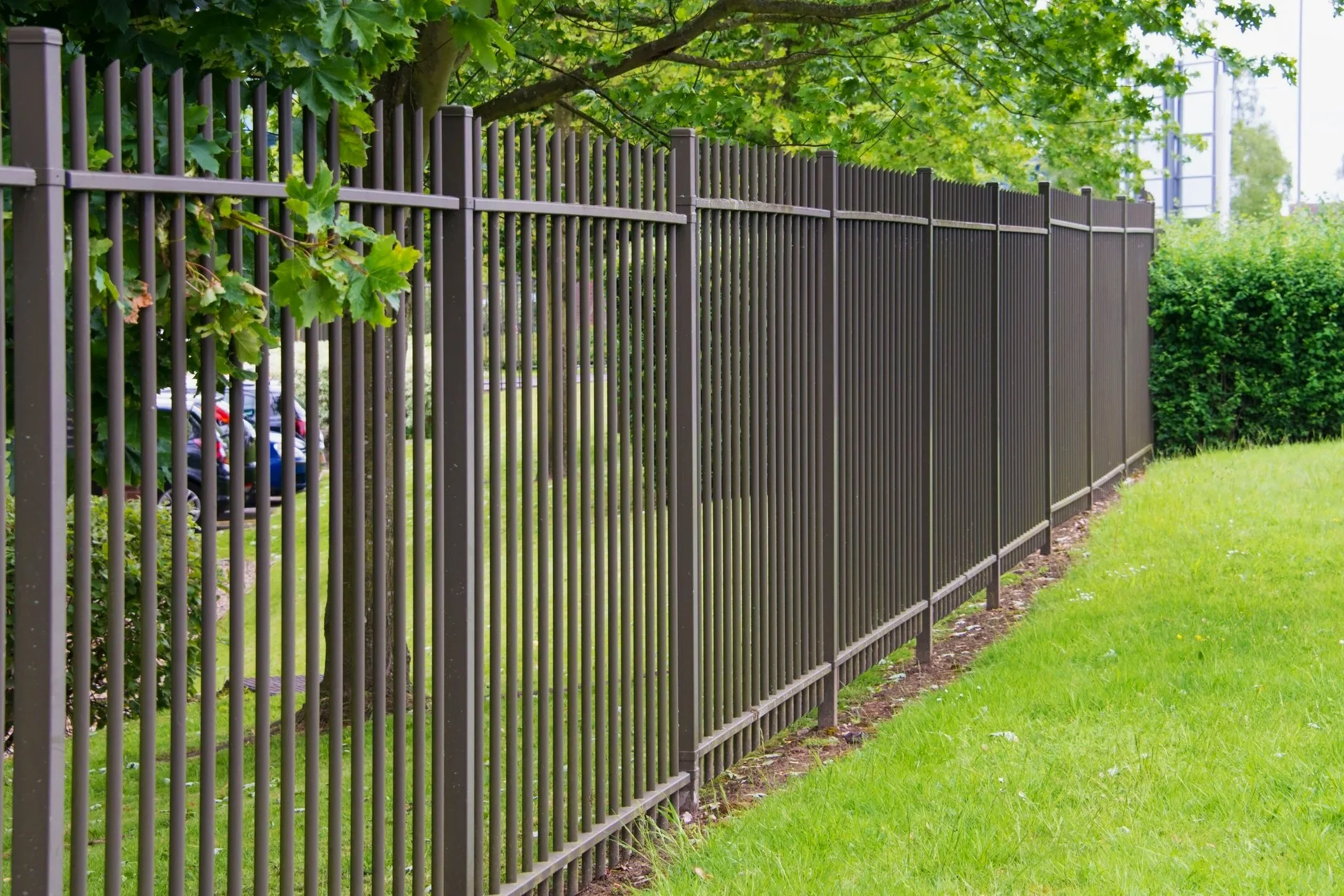 A dark brown metal fence running along a grassy area, with green trees and bushes behind it and a blue sky in the background.