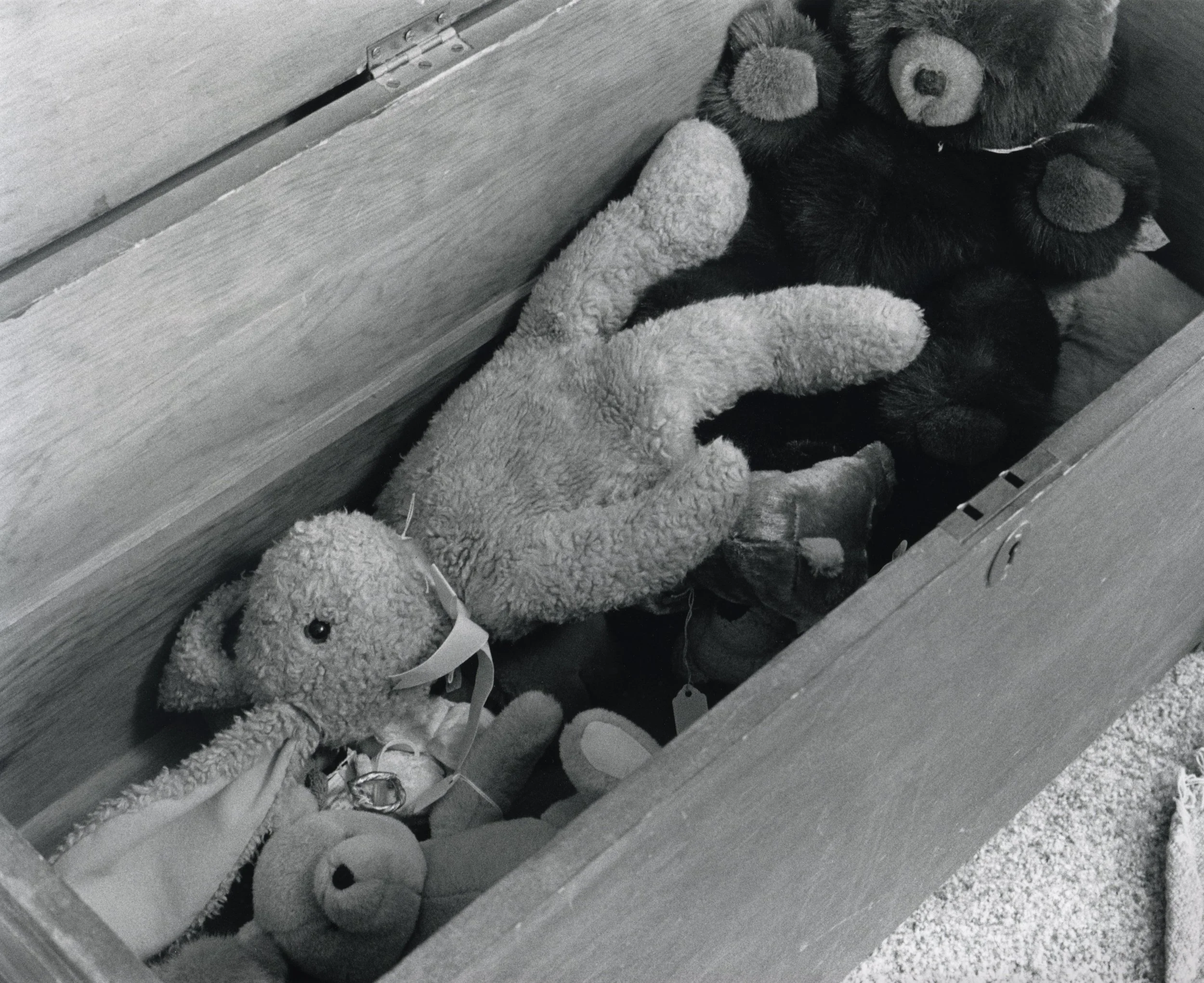 Rosales_TheStuffedAnimals.jpg