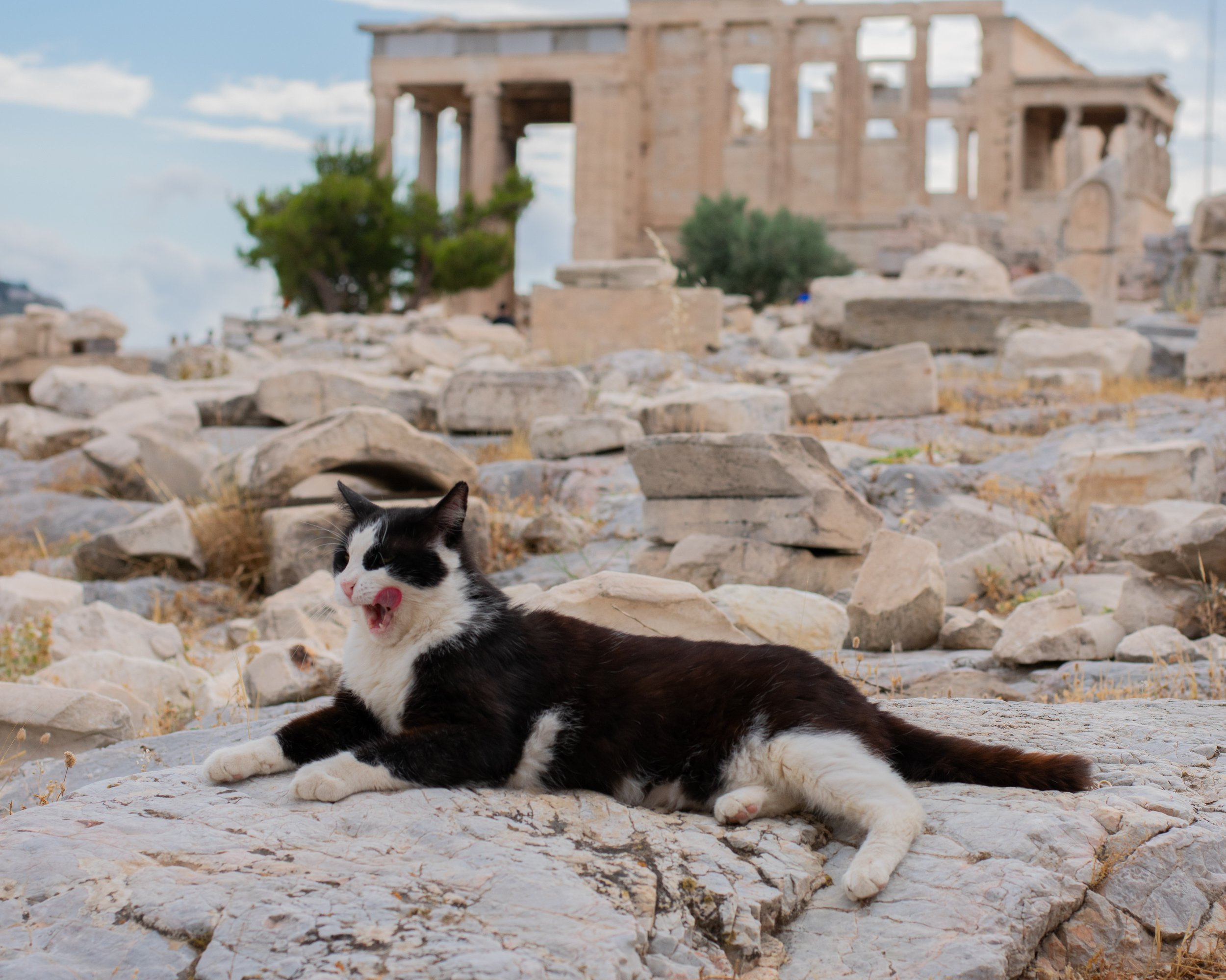 Greece-0398.jpg
