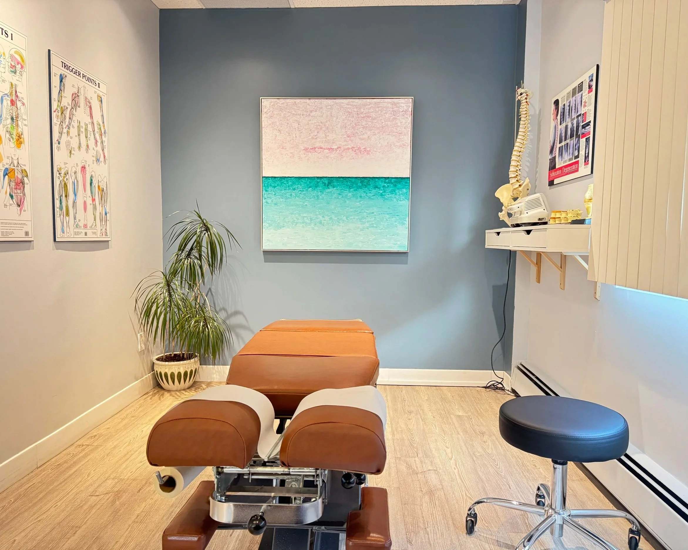 Medical examination room with a brown adjustable chiropractic or medical examination table, a black rolling stool, and white chairs. Contains wall posters on anatomy and spine, a potted plant, a skeleton model, and a wall-mounted heater or air filter