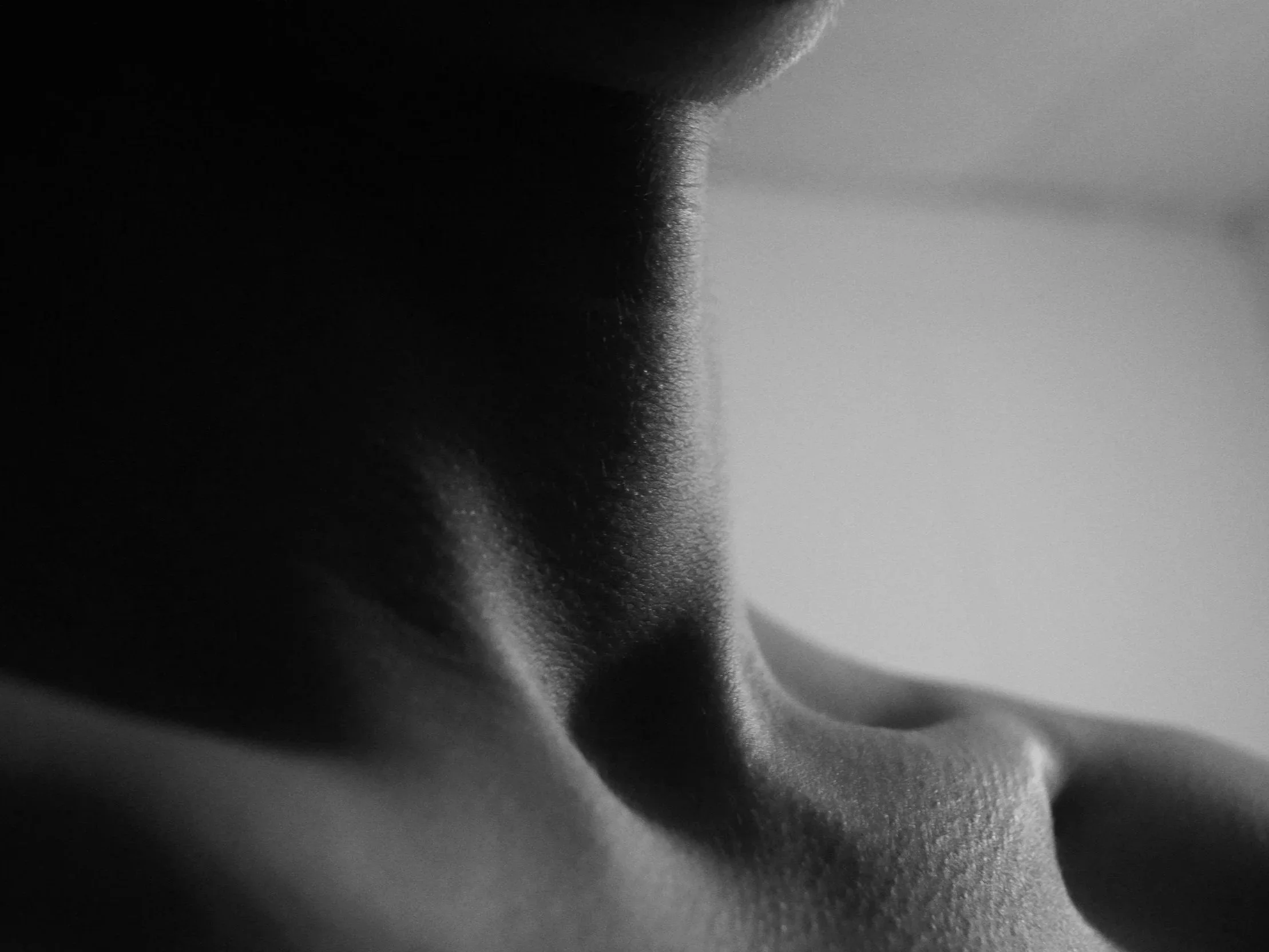 Close-up of a cat's fuzzy nose and part of its face, in black and white. SCM muscle