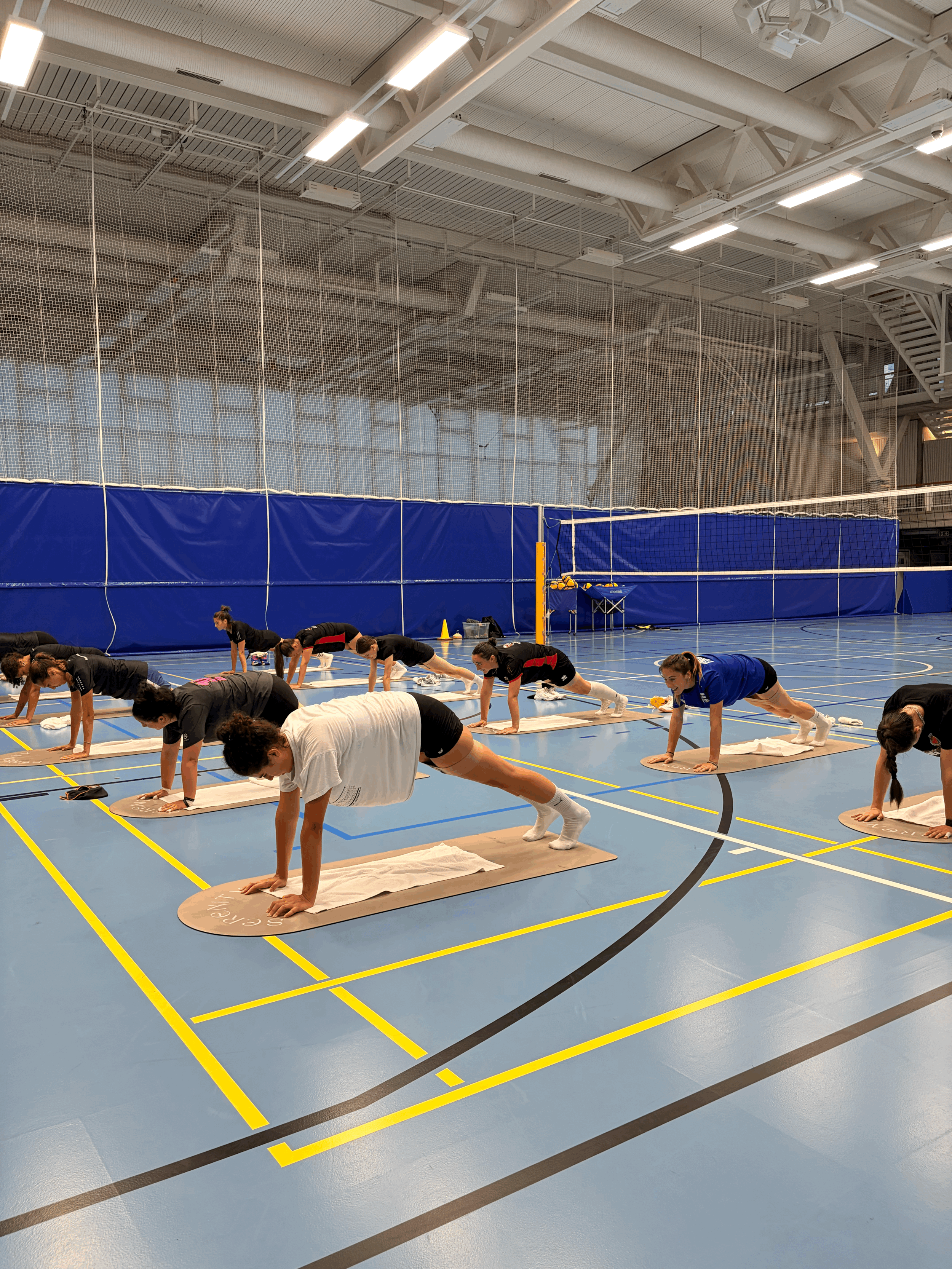Corporate & Team Wellness