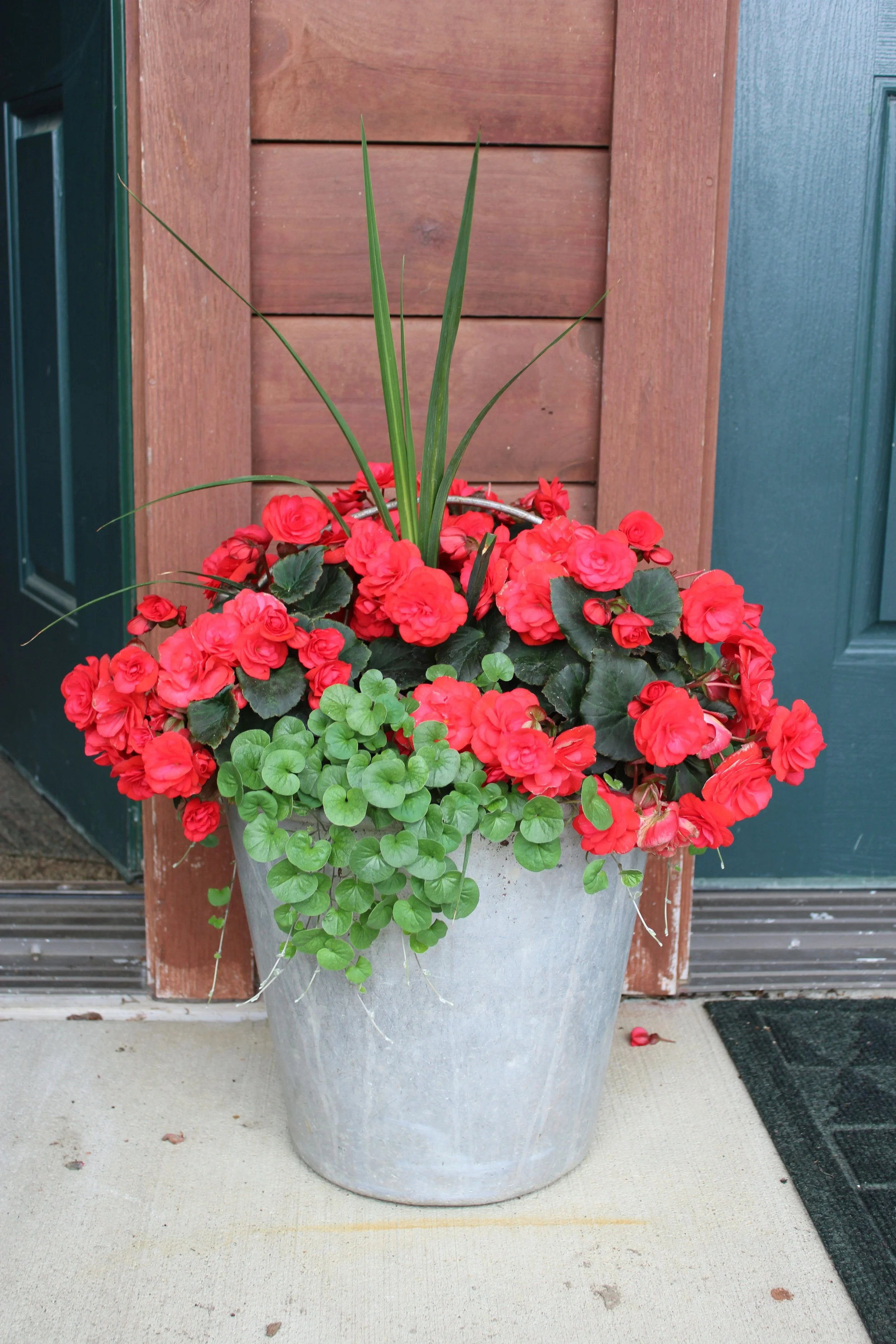 planter 7 px.jpg