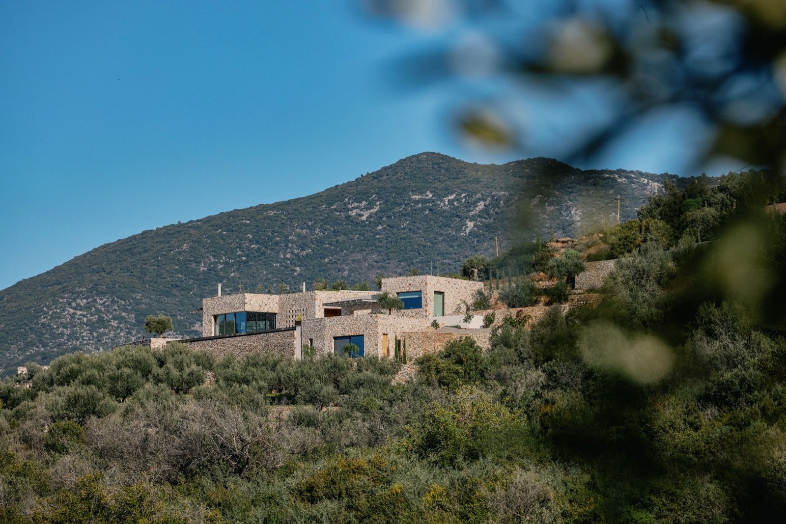 Modern house with large windows on a hillside covered in greenery, with a mountain in the background under a clear blue sky.